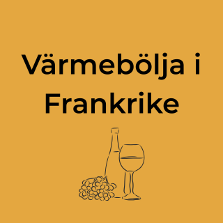 Rekordhetta i Frankrike, vad händer med vinet i Bordeaux och Loire just nu?