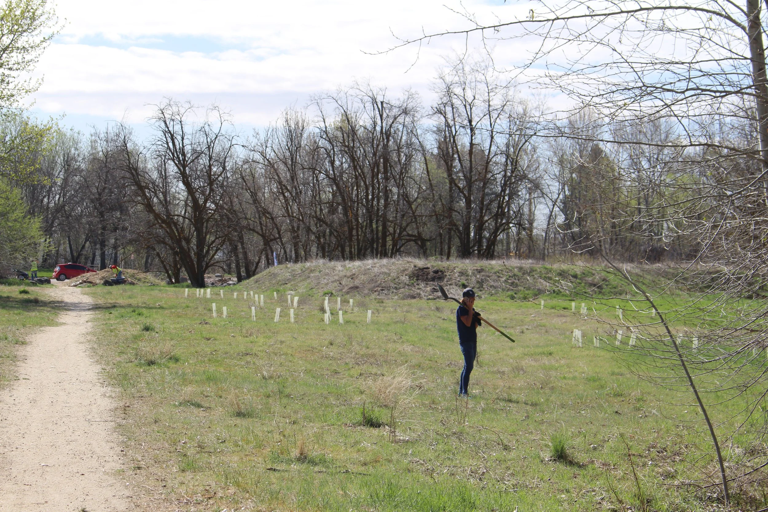 Surveying our work in the meadow at the WPP.