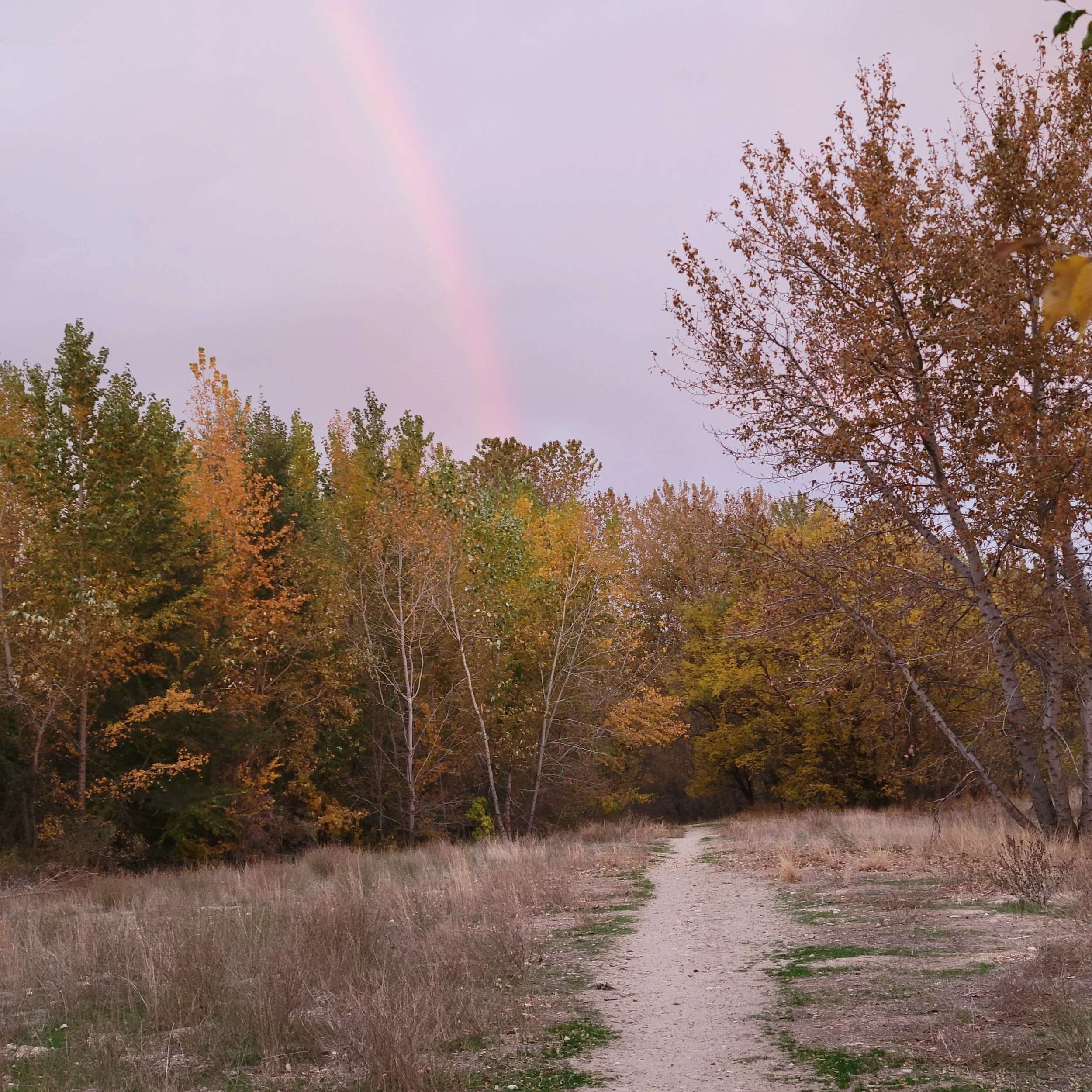 A rainbow above the WPP.