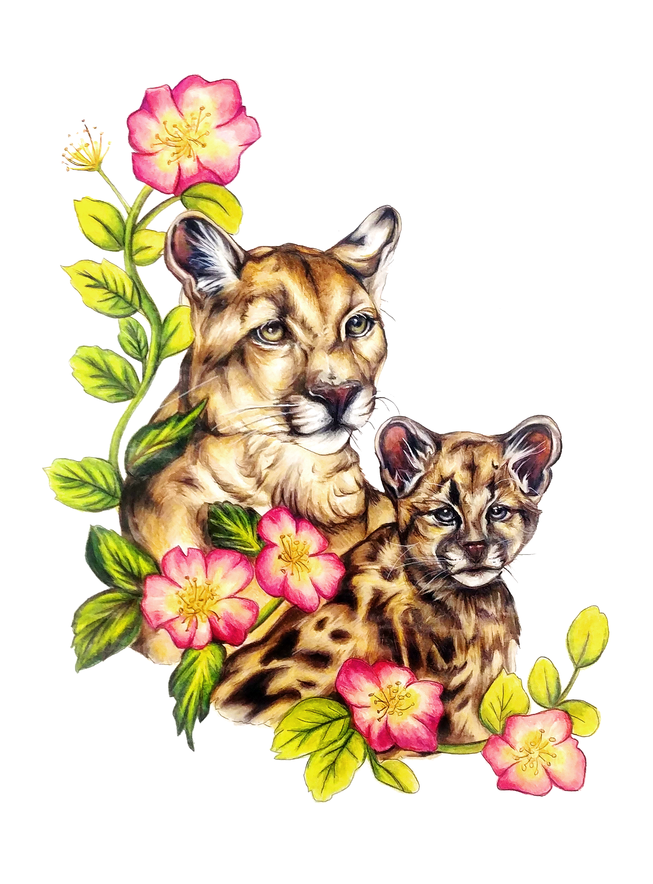 Mountain Lion & Woods Rose - Found on peace pole #1