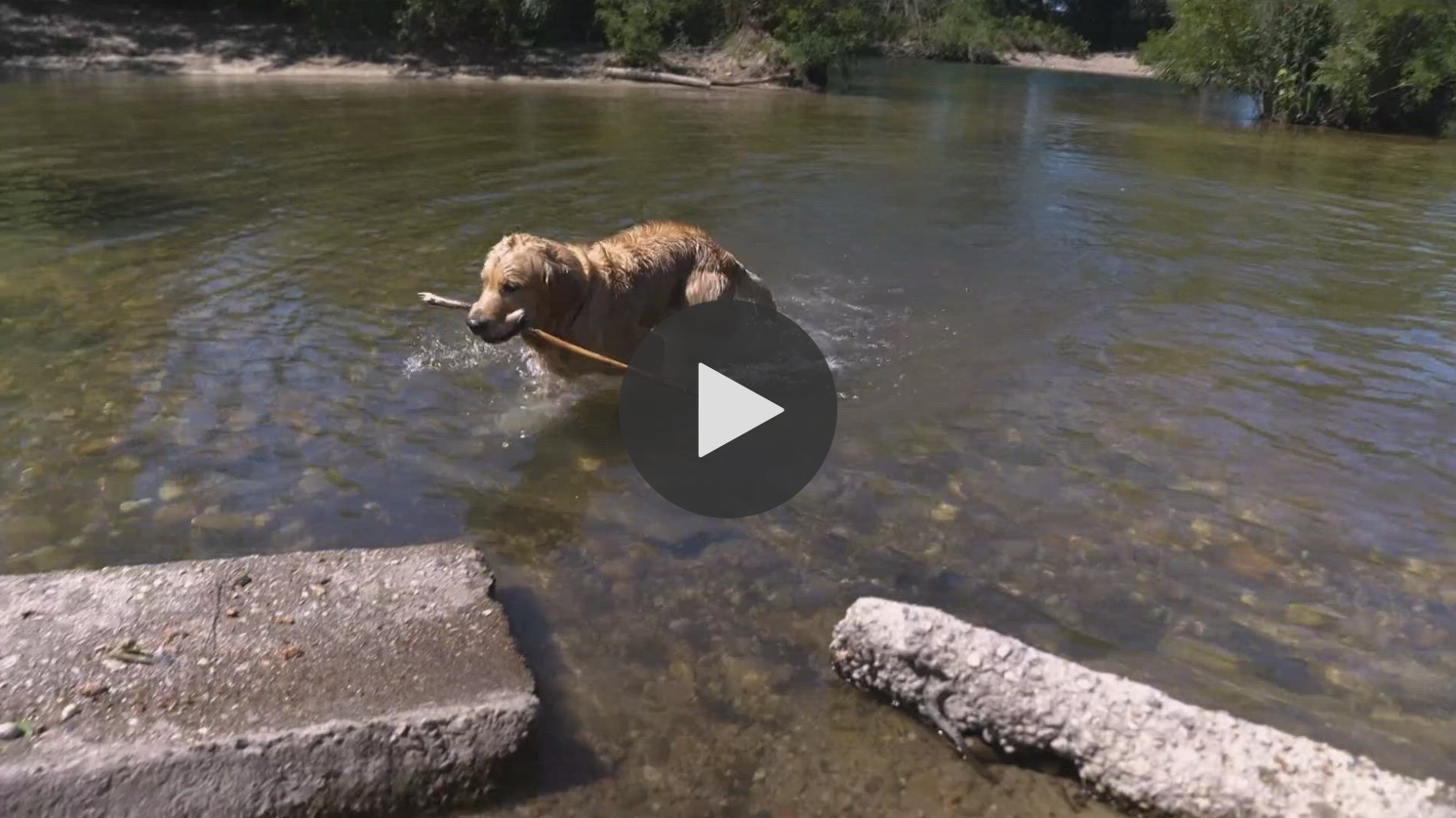 KTVB Article & Video