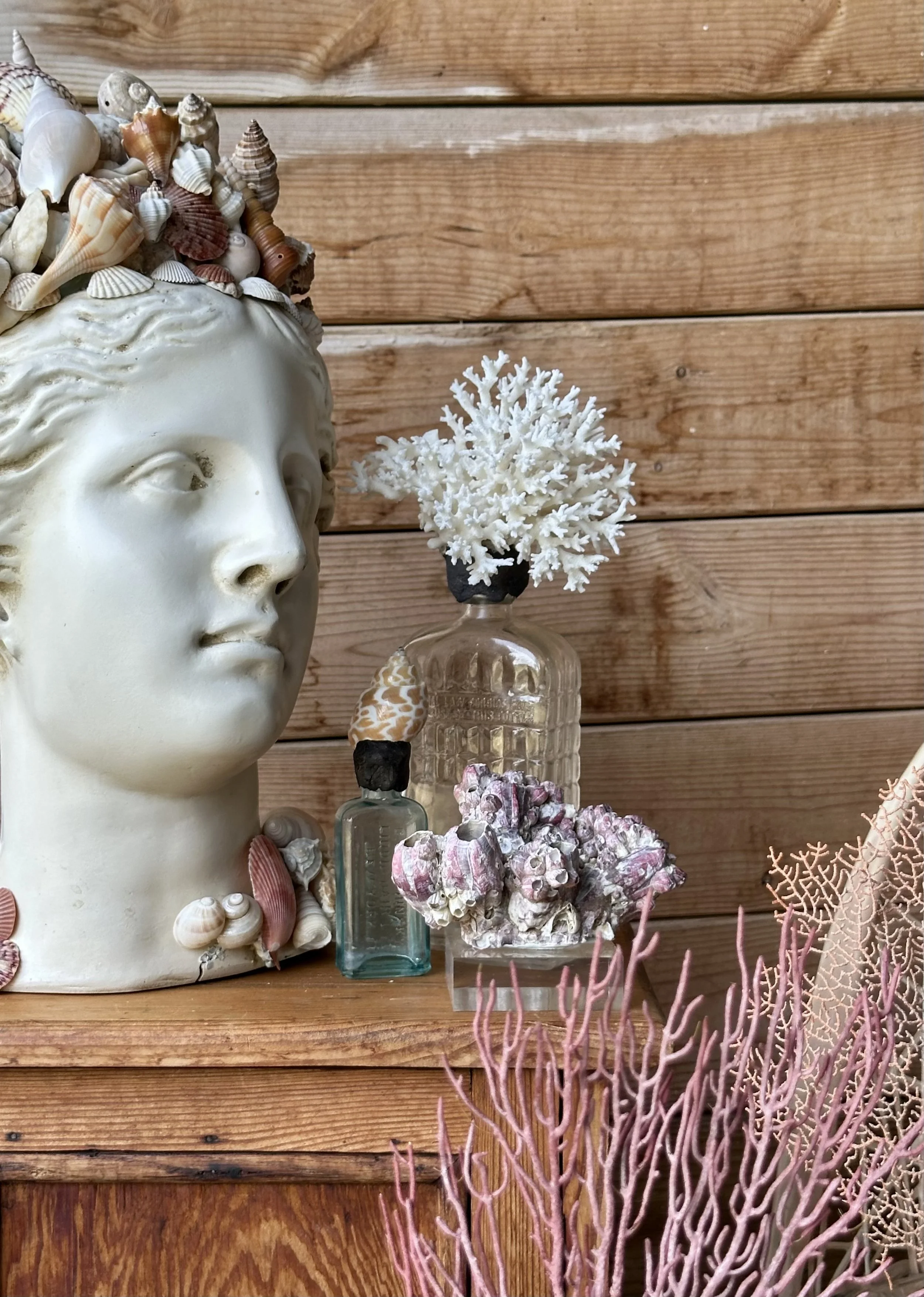 Coral Topped Bottle