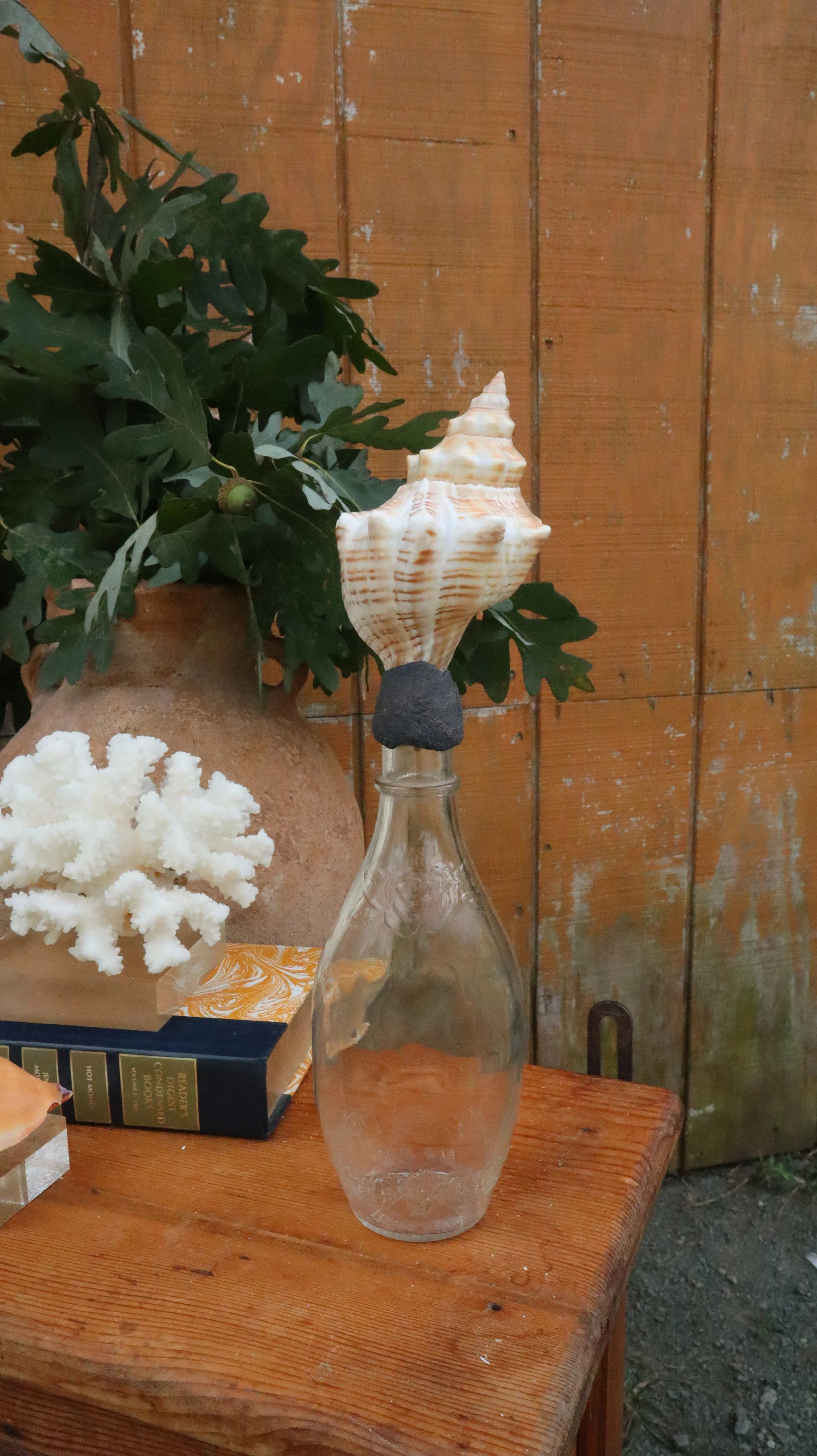 Medium Stripped Horse Conch on Glass Bottle