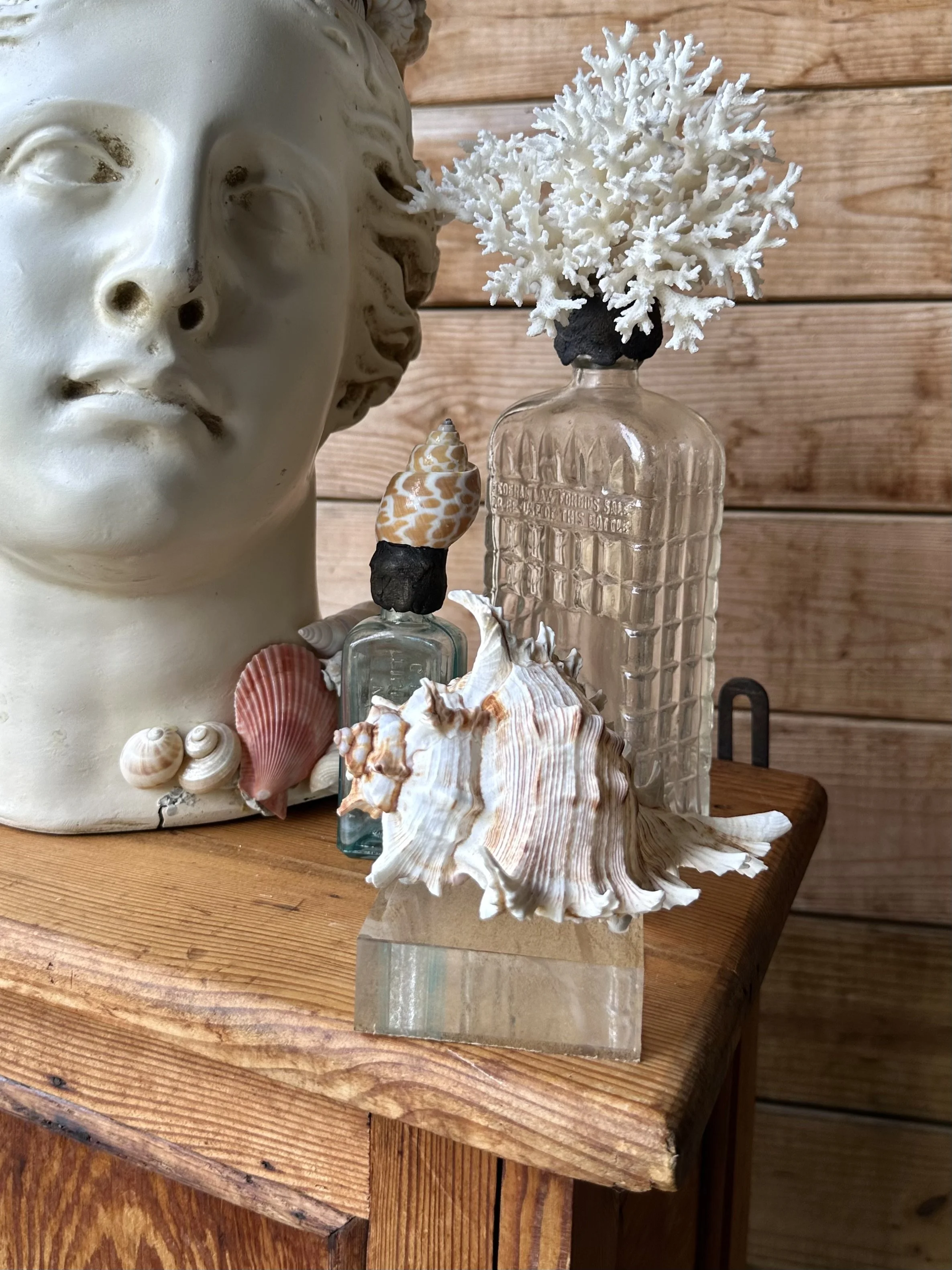 Acrylic Based Shell Mount