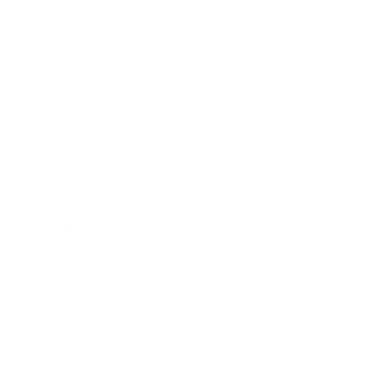 Inlet Shells