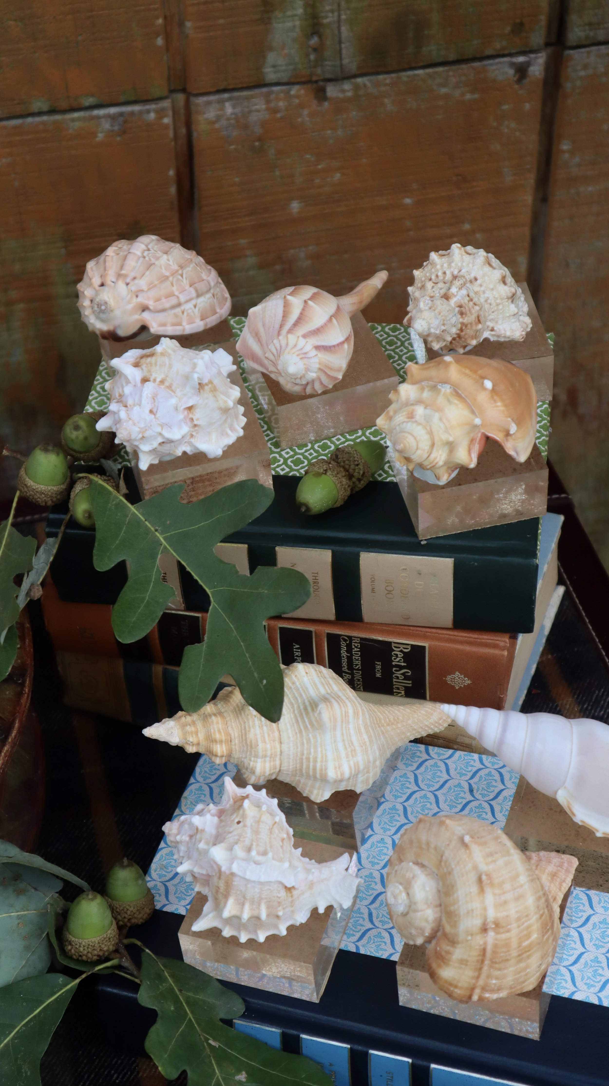 Small Acrylic Based Shells