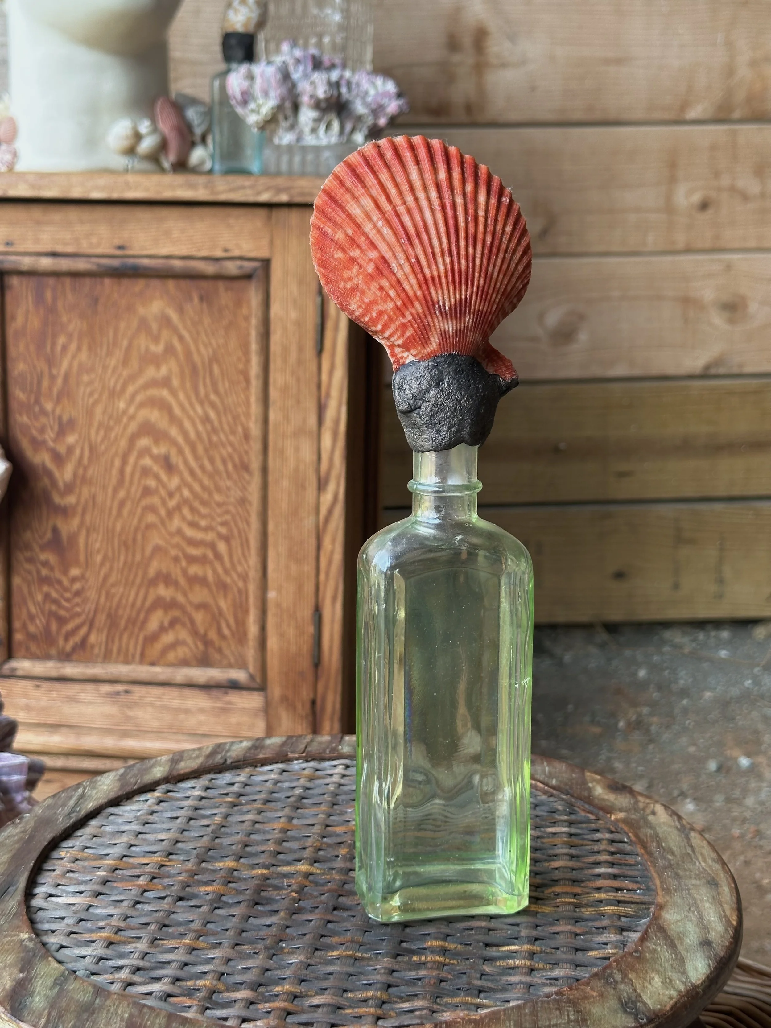 Orange Shell Topped Bottle