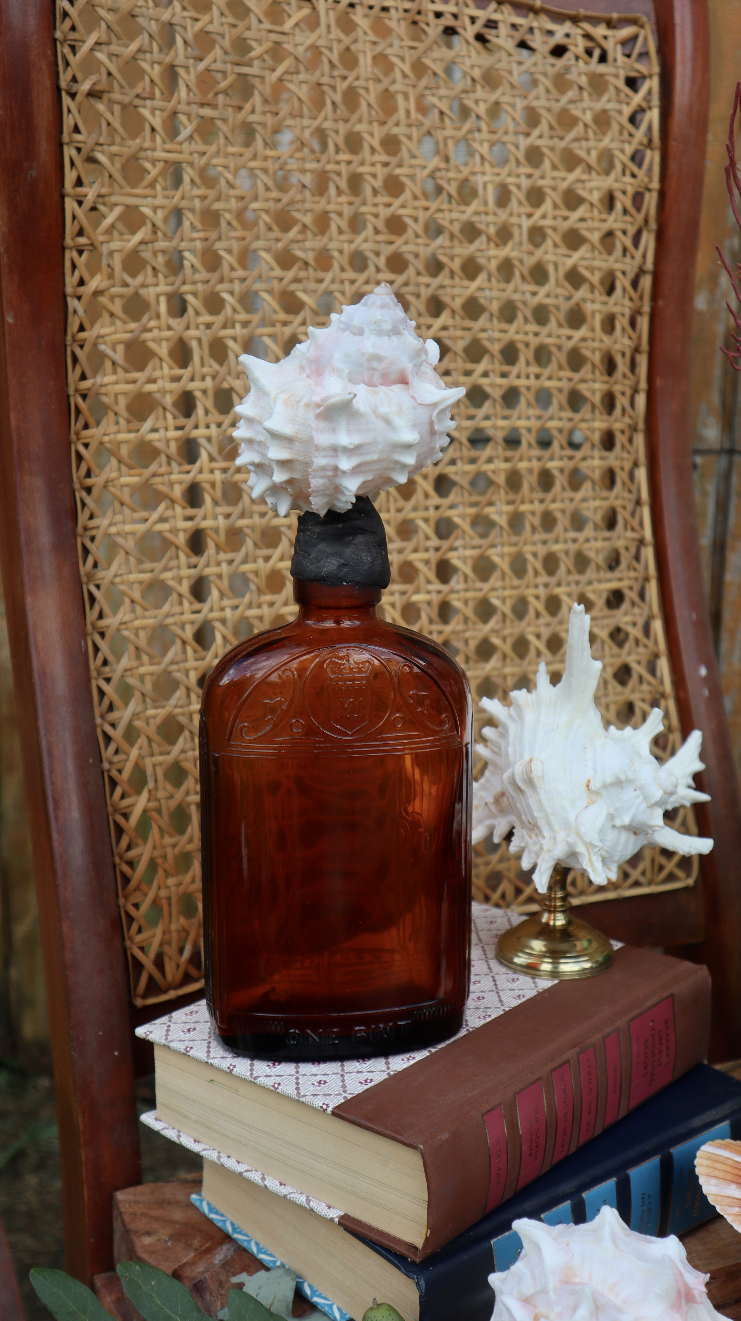 Murex Shell on Brown Vintage Bottle