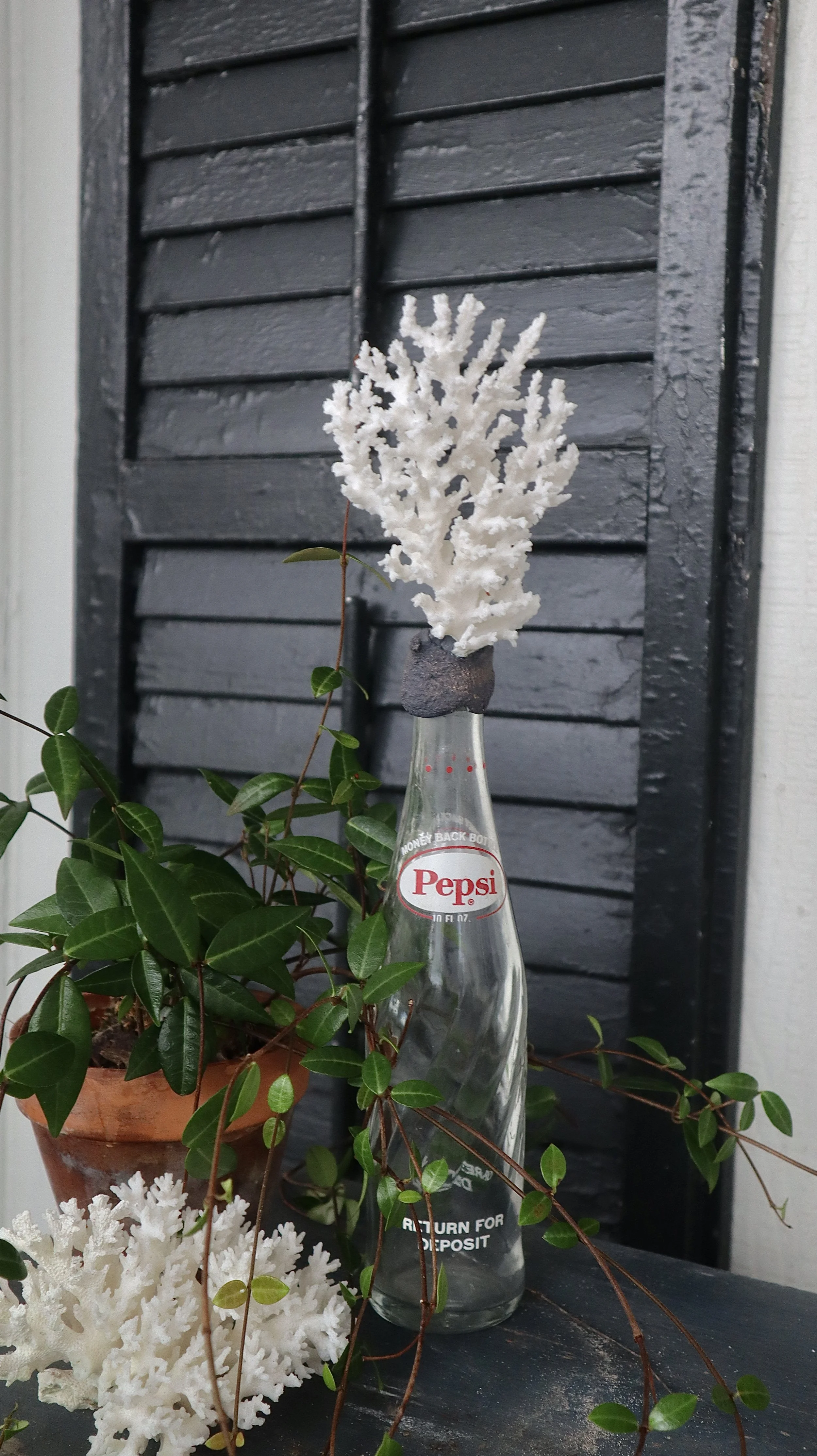 Pepsi Coral Bottle