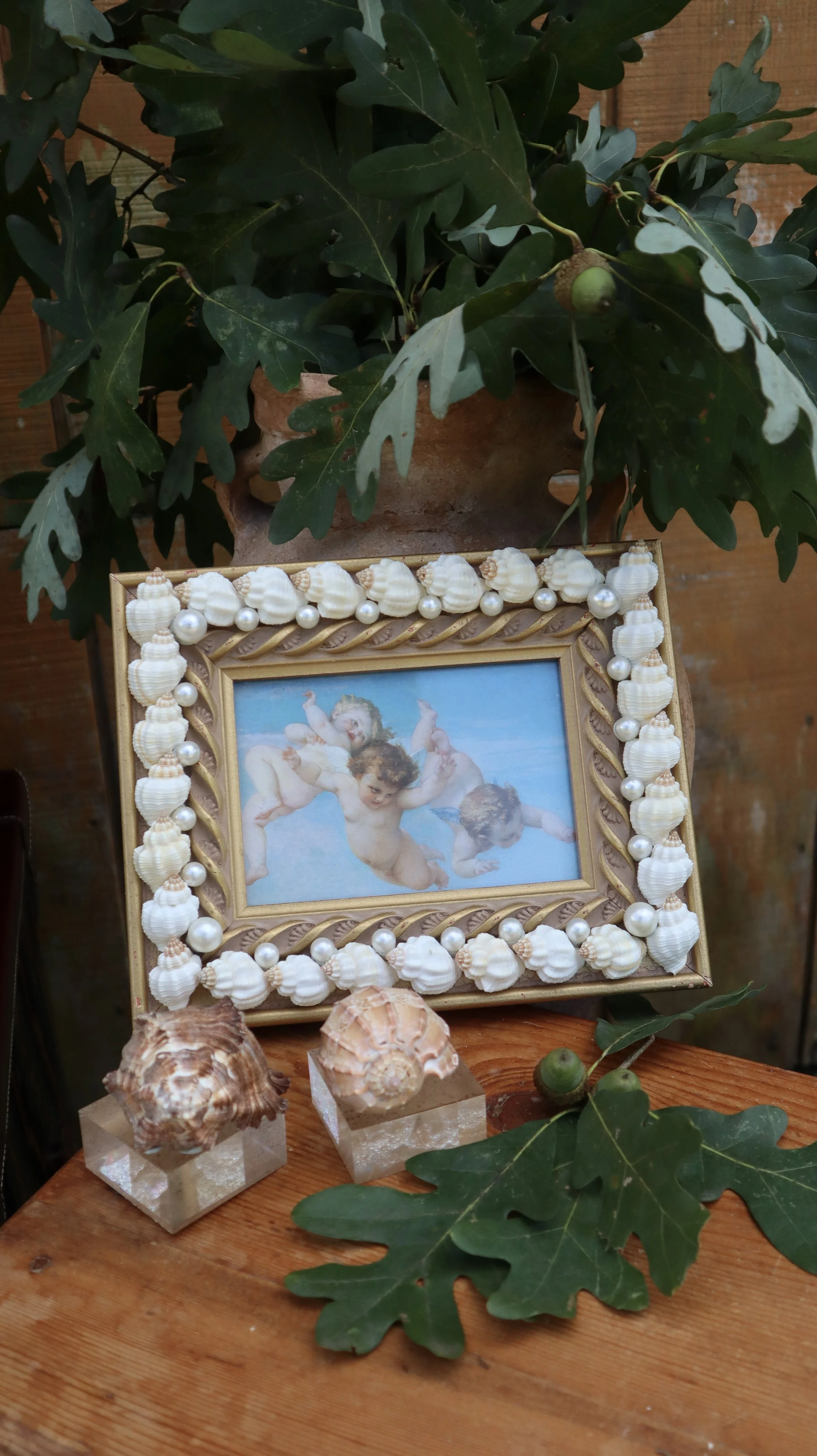 Shell Adorned Picture Frame