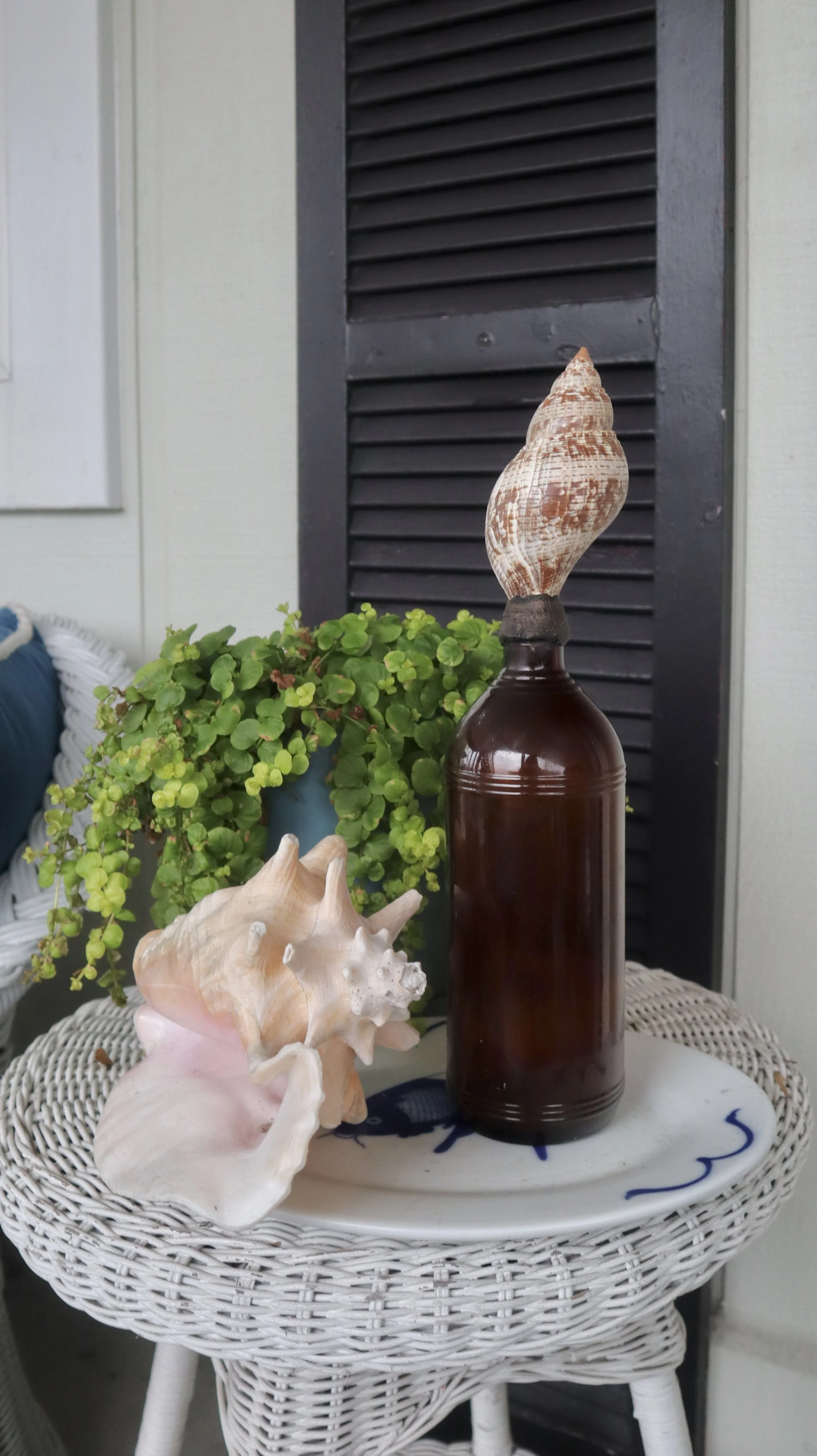 Brown Bottle & Brown Shell