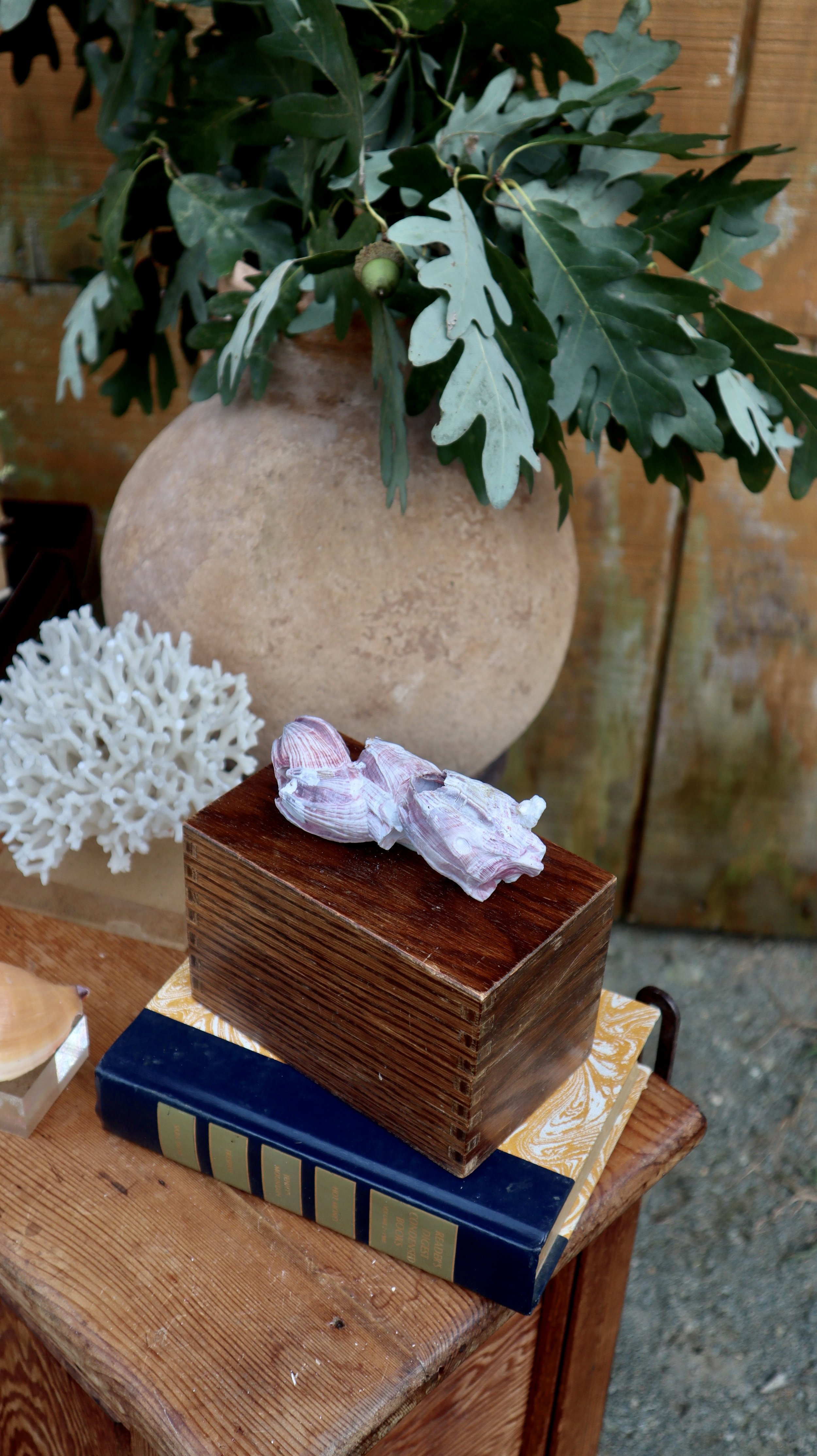 Barnacle Topped Vintage Recipe Card Box