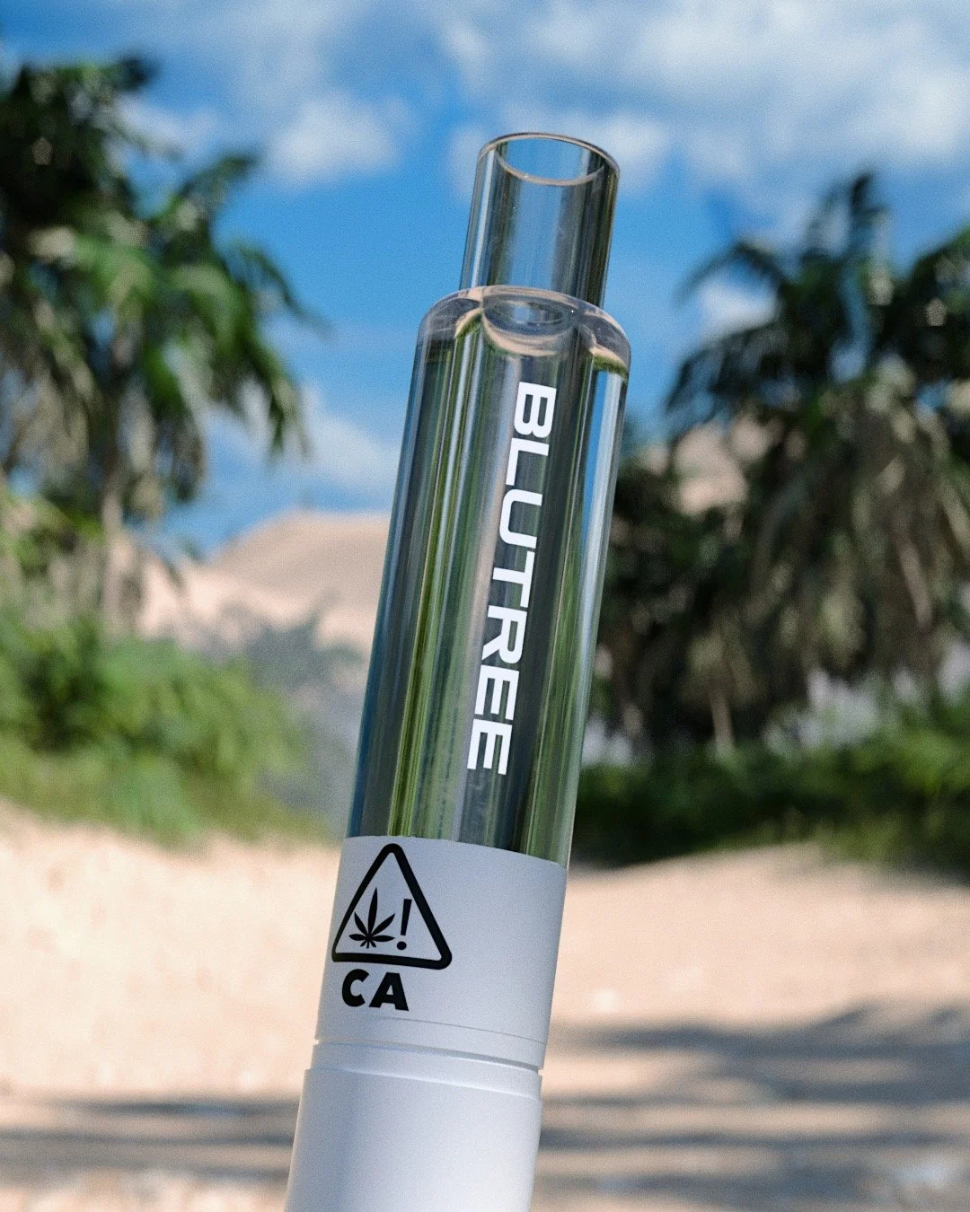 Photo Feb 23 2026, 11 13 02 AM (1).jpg