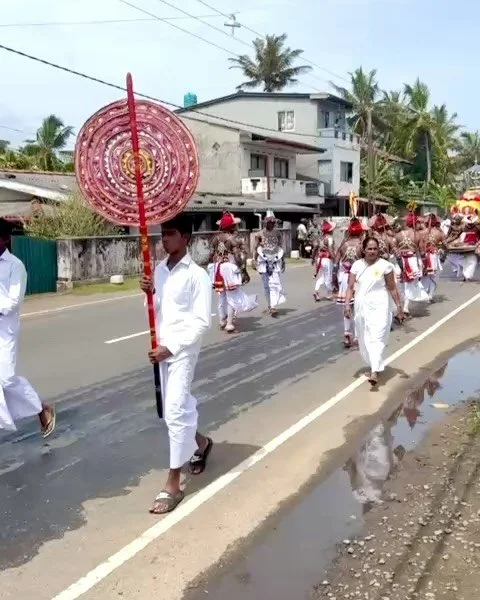 ✨&nbsp;&nbsp;Local Perahera Magic&nbsp;✨. Over the last 2 days, our quiet coastal escape lit up with the spirit of the&nbsp;Perahera Festival! Just steps from @MylaBeachVilla, vibrant processions of drummers, dancers, fire-breathers, and decorated el