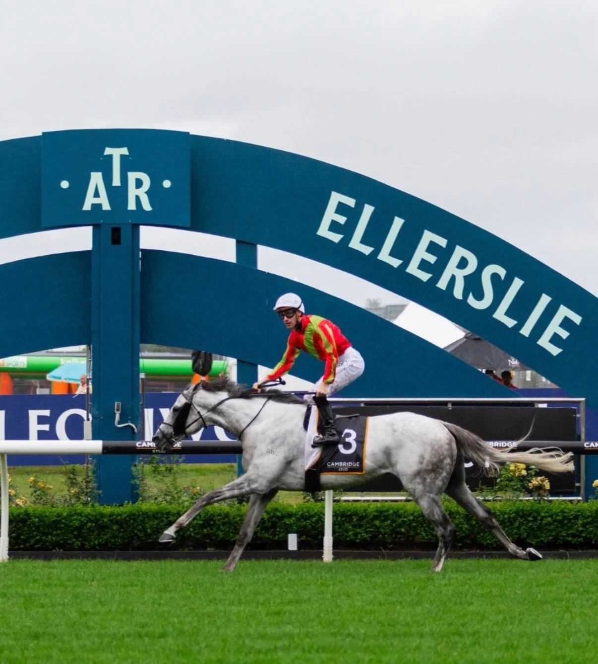 Group 1 racing and live football here today 🔥