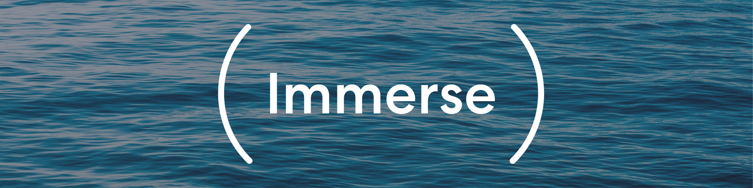 Immerse banner.png