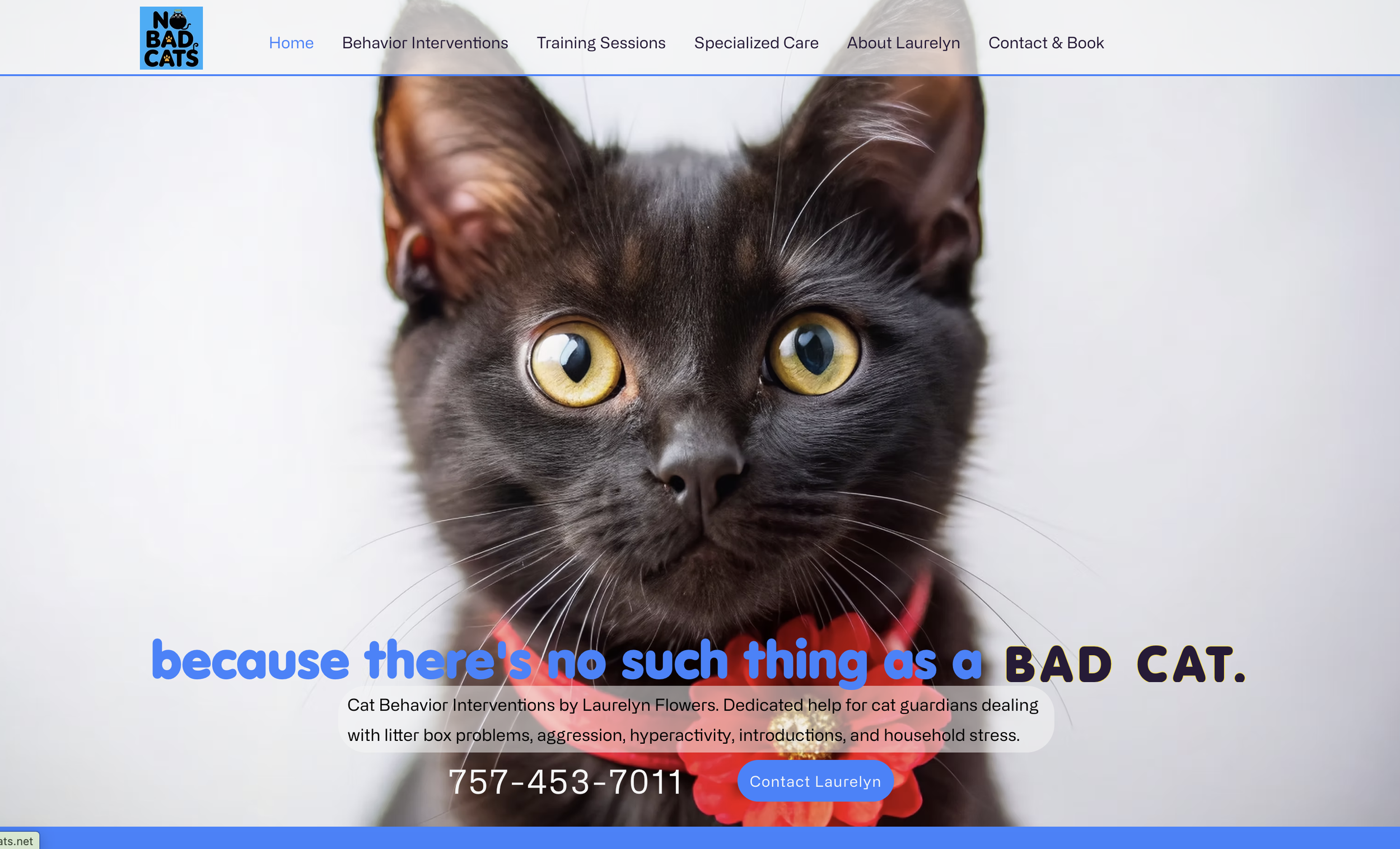 No Bad Cats website