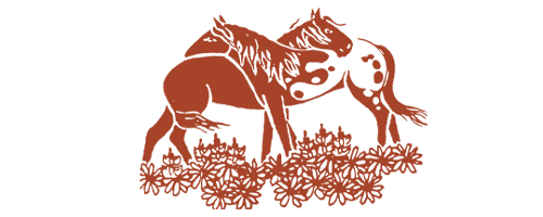  Katelyn Gardner-Kelley