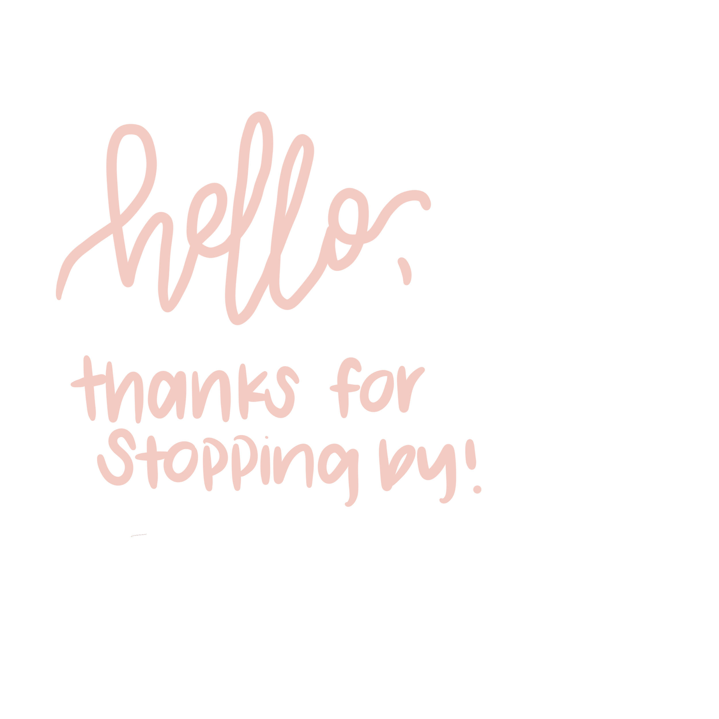Untitled_Artwork 2.png