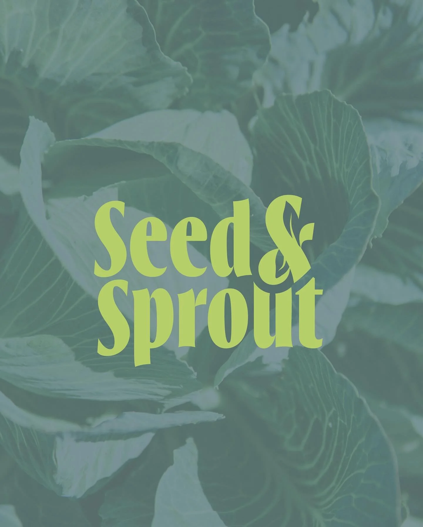 a super fun grocery store branding project! I loved getting to work with the logo and come up with fun ideas to incorporate imagery into the type!

#branding #logo #logomark #design #graphicdesign