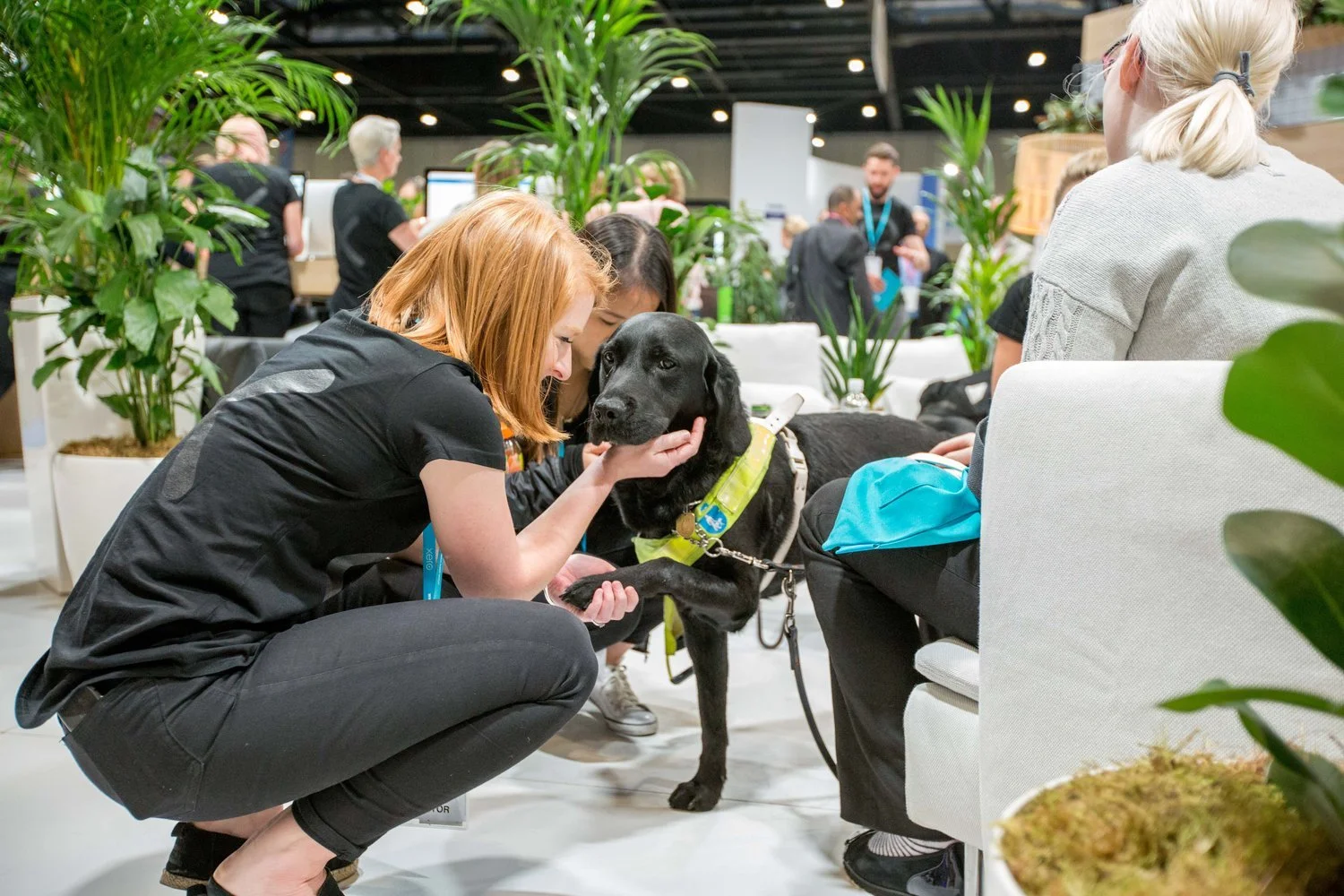 Accountex2018-9783.jpg