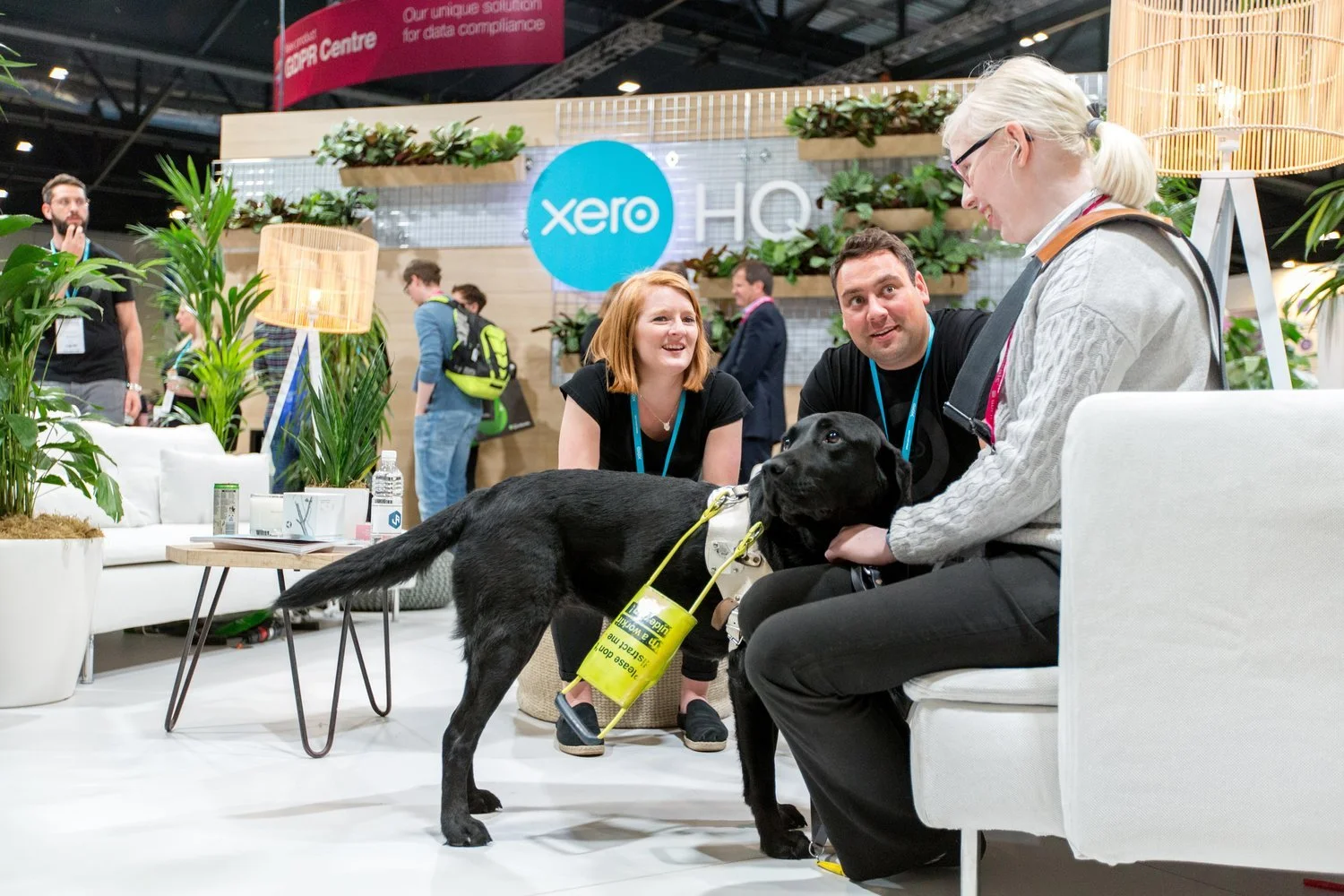 Accountex2018-9726.jpg