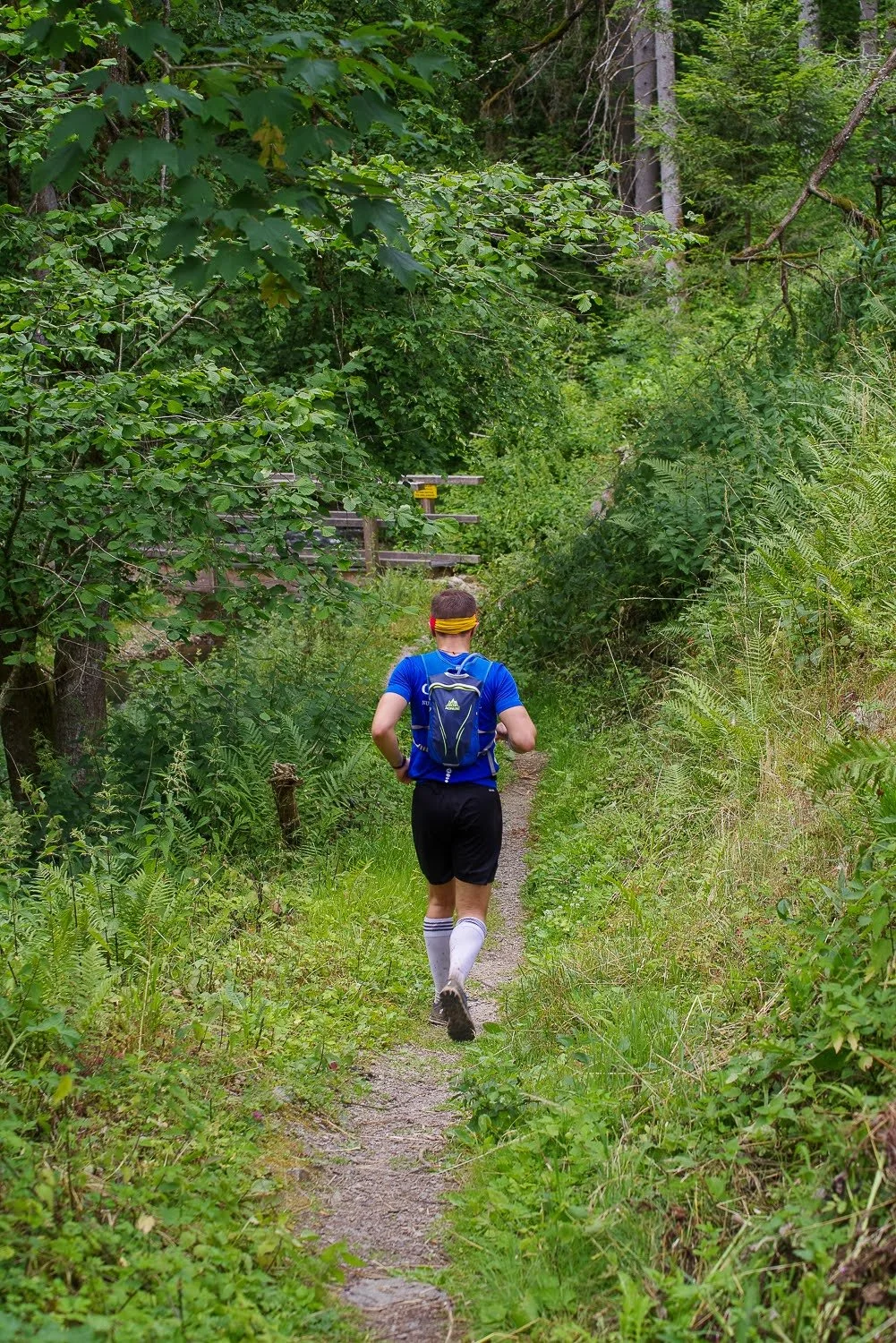 SauwaldTrail 2023: Der besondere Charme kleiner Trailrunning-Events