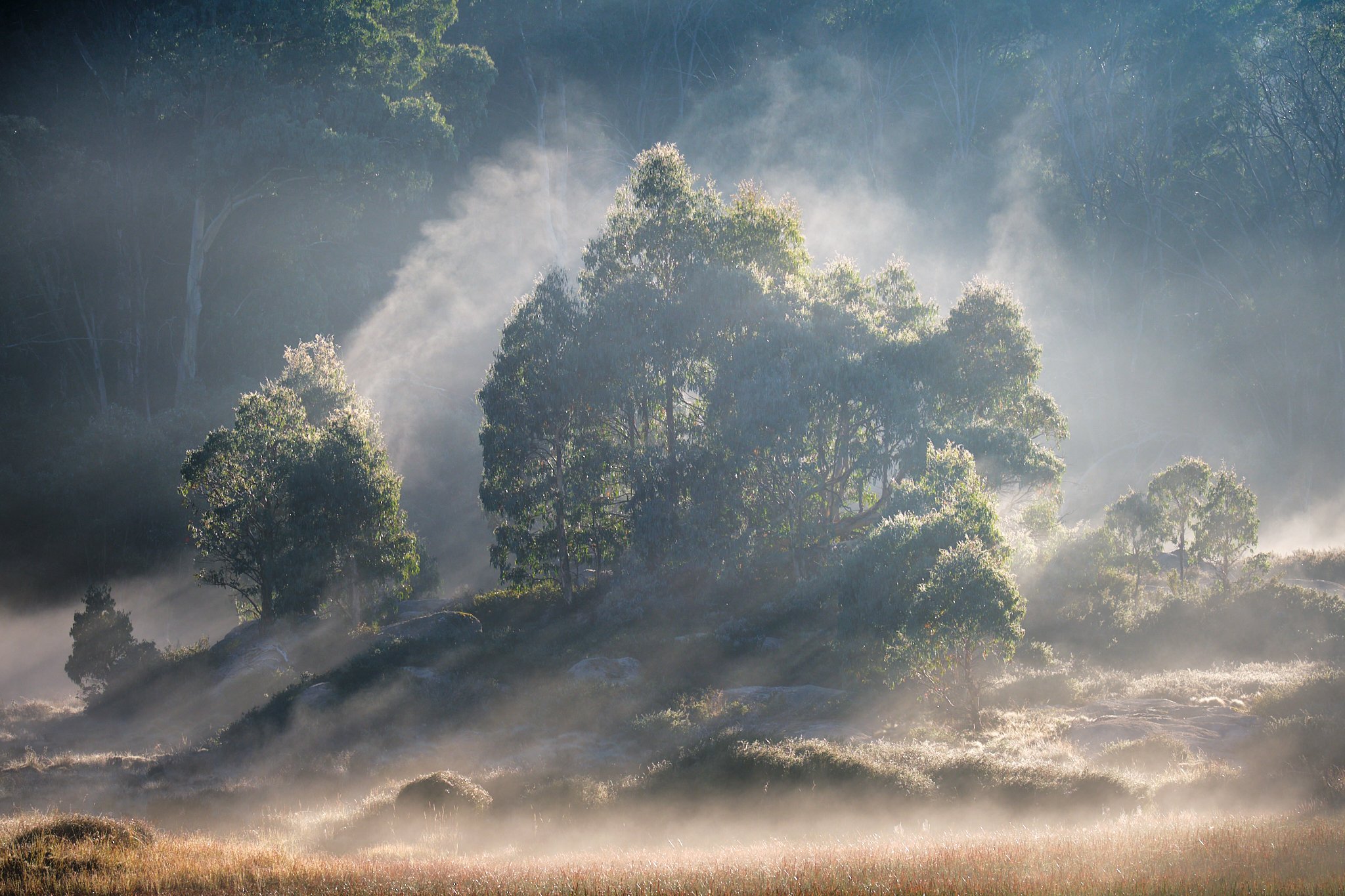 Gentle Dissipation
Mount Buffalo National Park, VIC (2022)