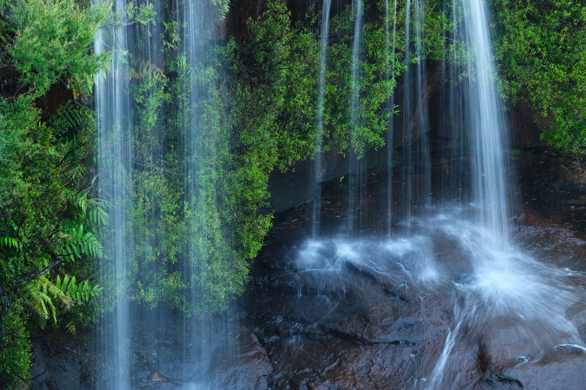 Sheer Curtains
Dharawal National Park, NSW (2024)