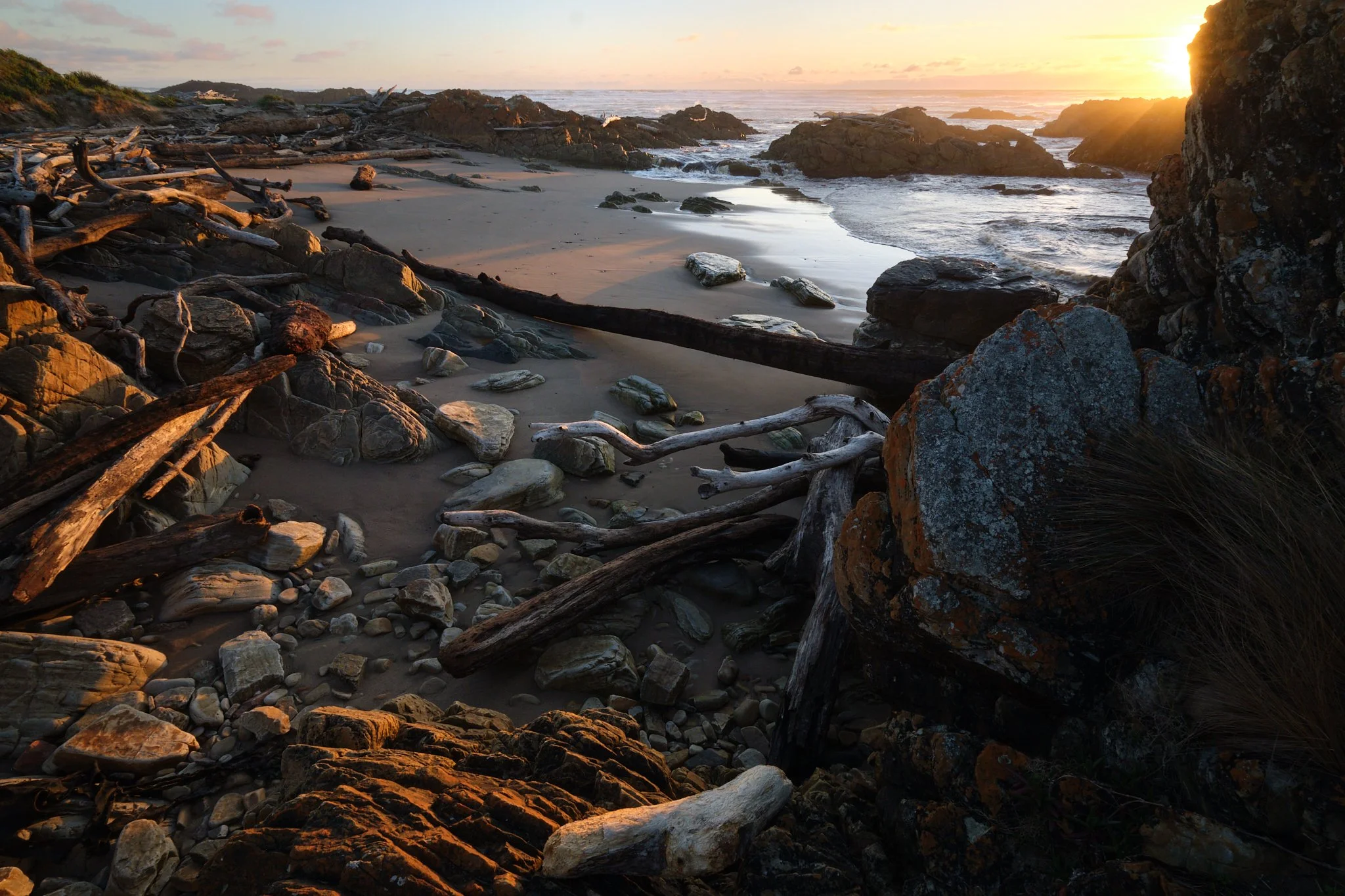 The Edge of Light
Tarkine, Tasmania (2025)