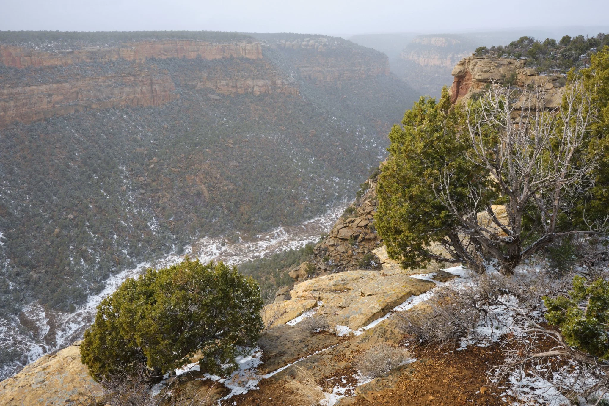 Canyon Verge
Mesa Verde National Park, CO, USA (2025)