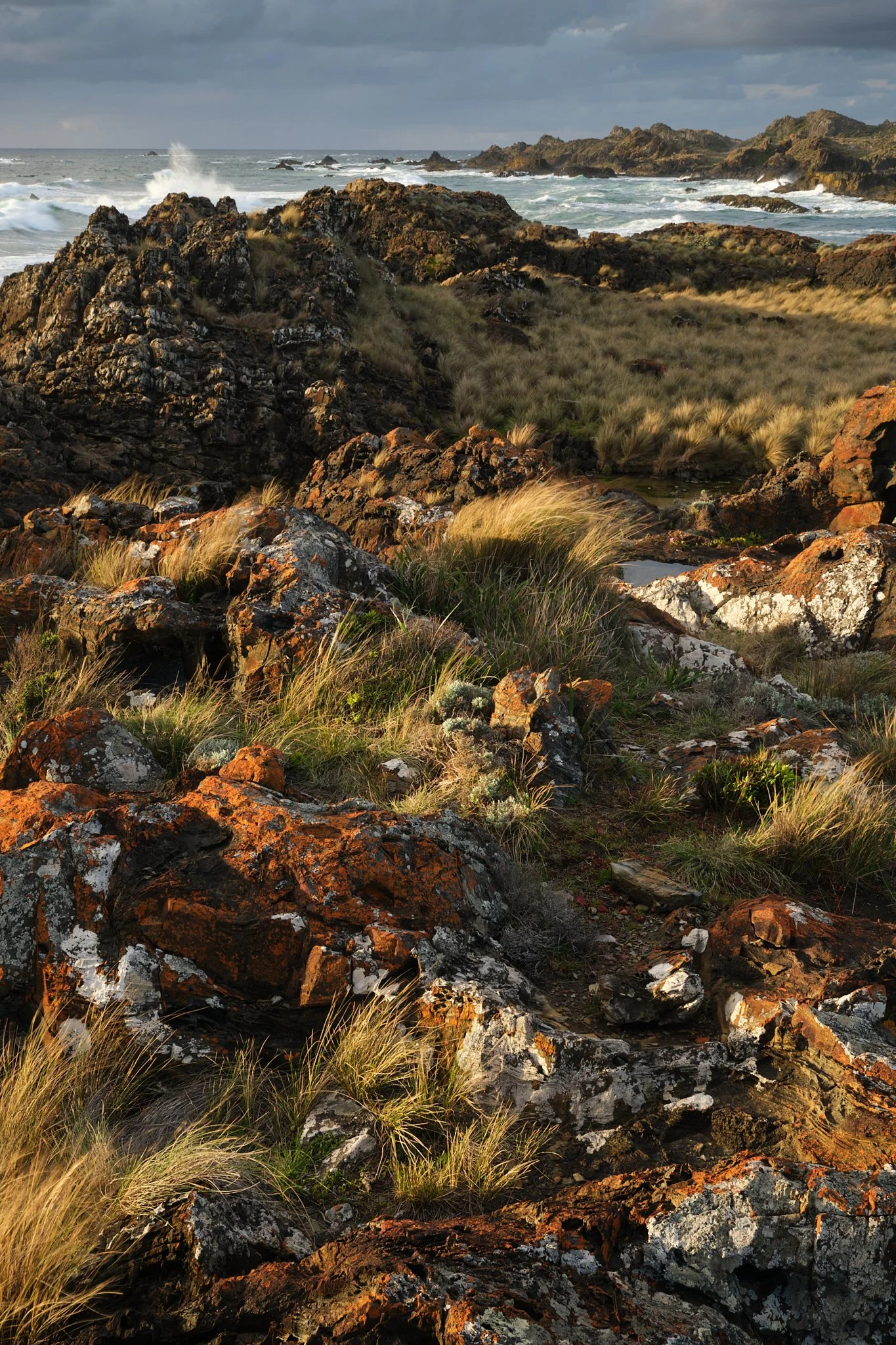Sharpened Shore
Tarkine, Tasmania (2025)