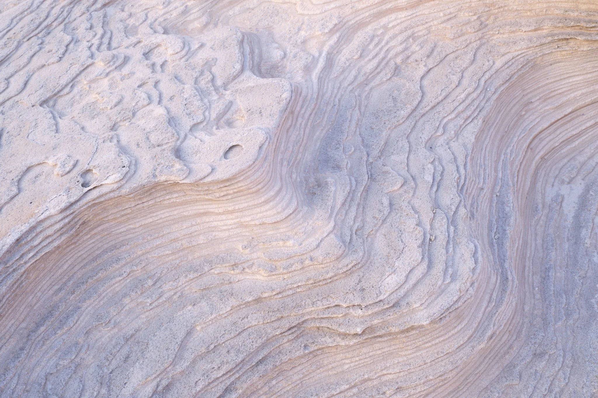 Phyllo
Kurnell, NSW (2025)