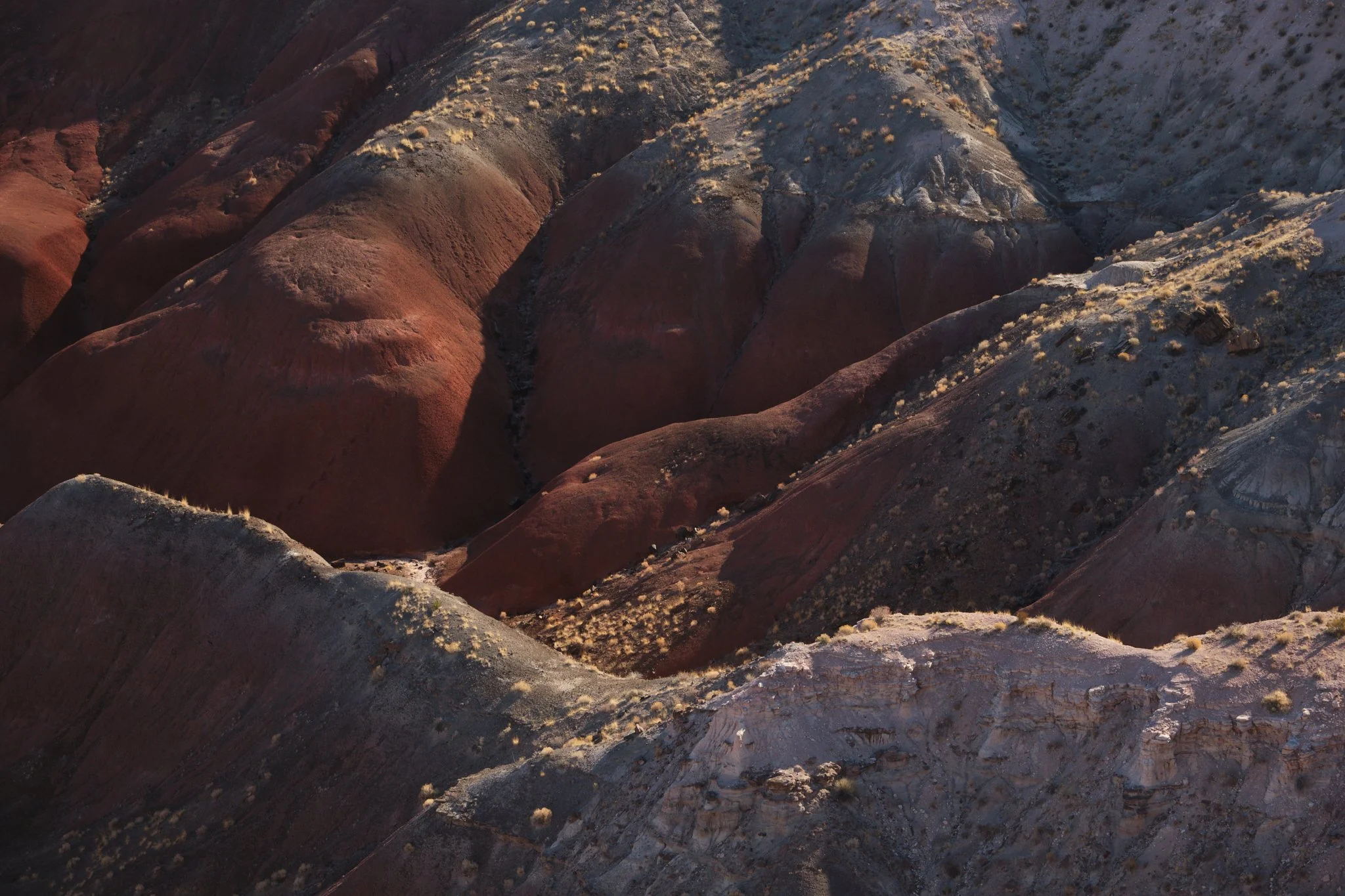 Fading Ridges
Petrified Forest National Park, AZ, USA (2025)