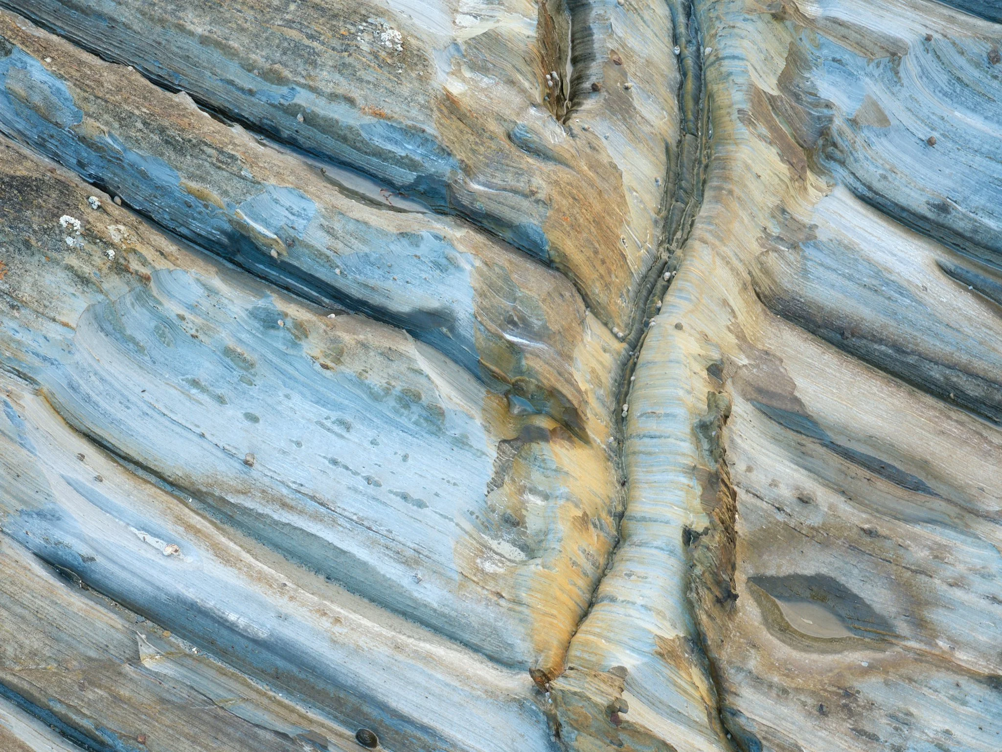 Scoop and Flow
Tarkine, Tasmania (2025)