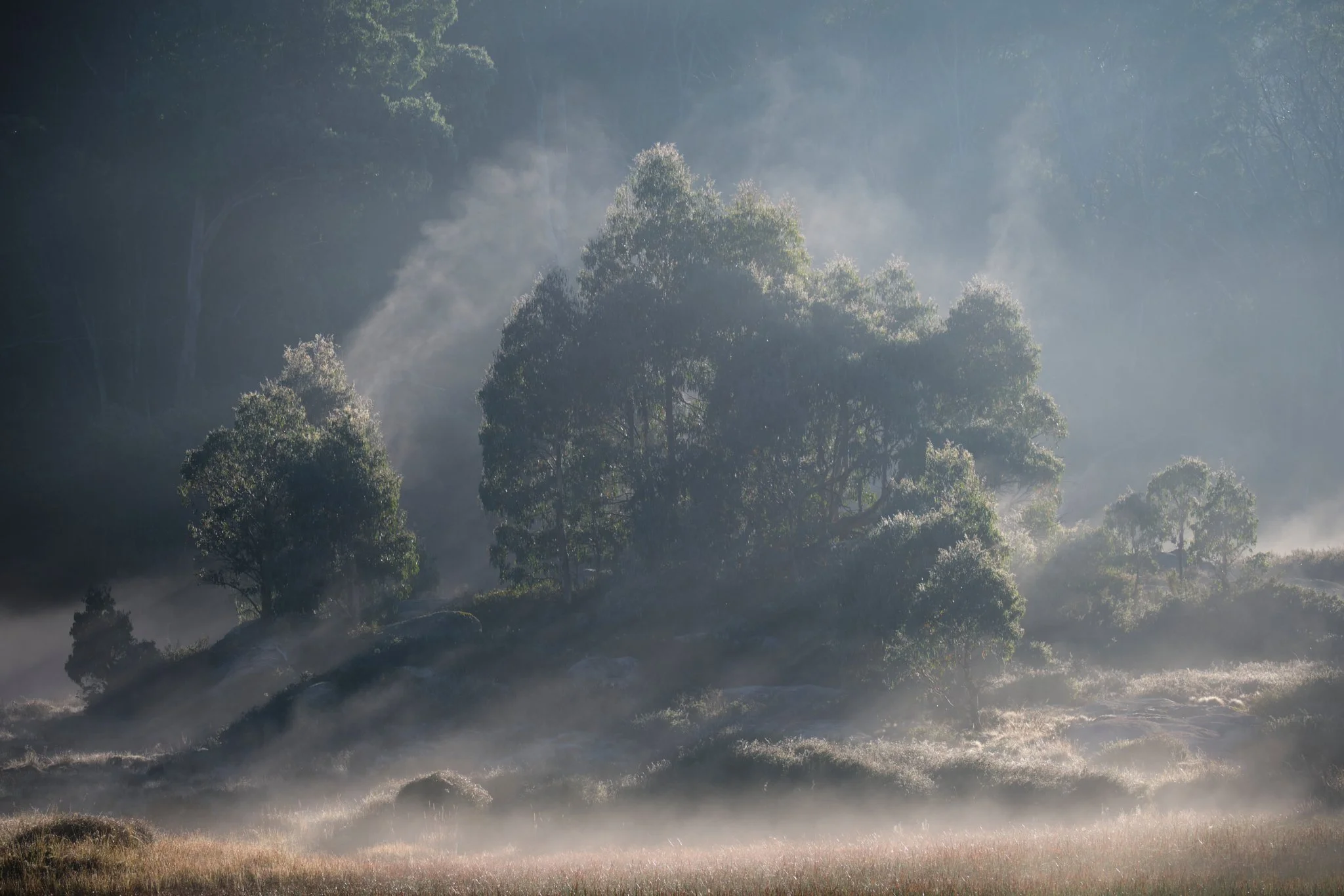 Gentle Dissipation
Mount Buffalo National Park, VIC (2022)
