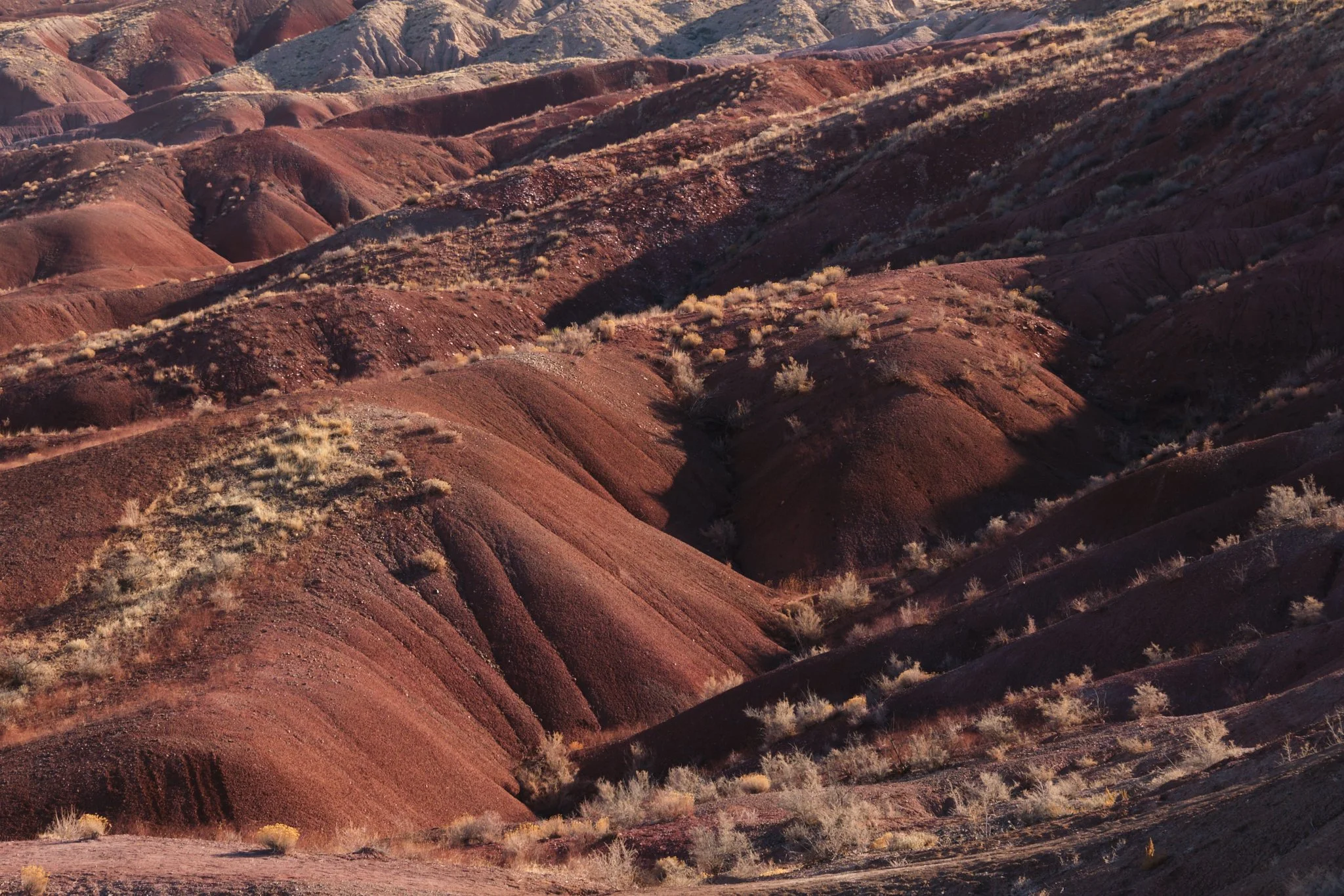 Petrified Forest National Park, AZ, USA (2025)
