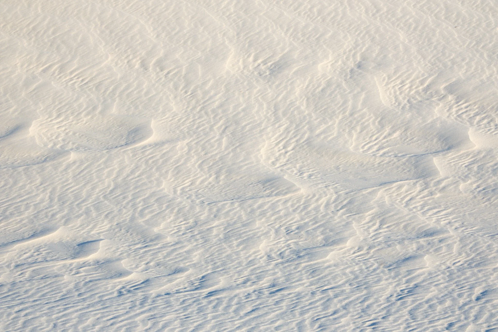 White Sands National Park, NM, USA (2025)