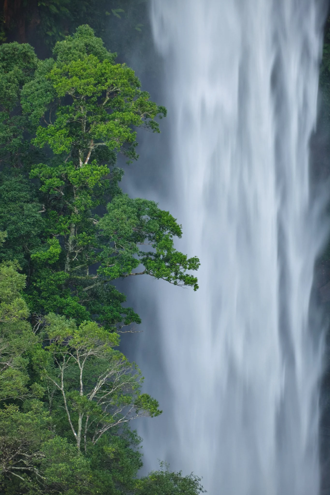 Morton National Park, NSW (2025)