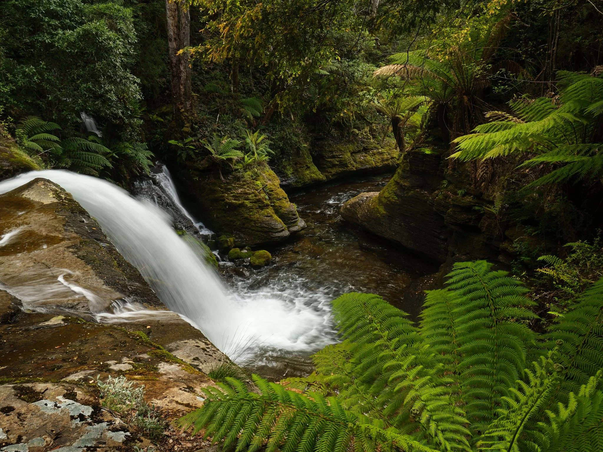 Streamline
Great Western Tiers, Tasmania (2025)