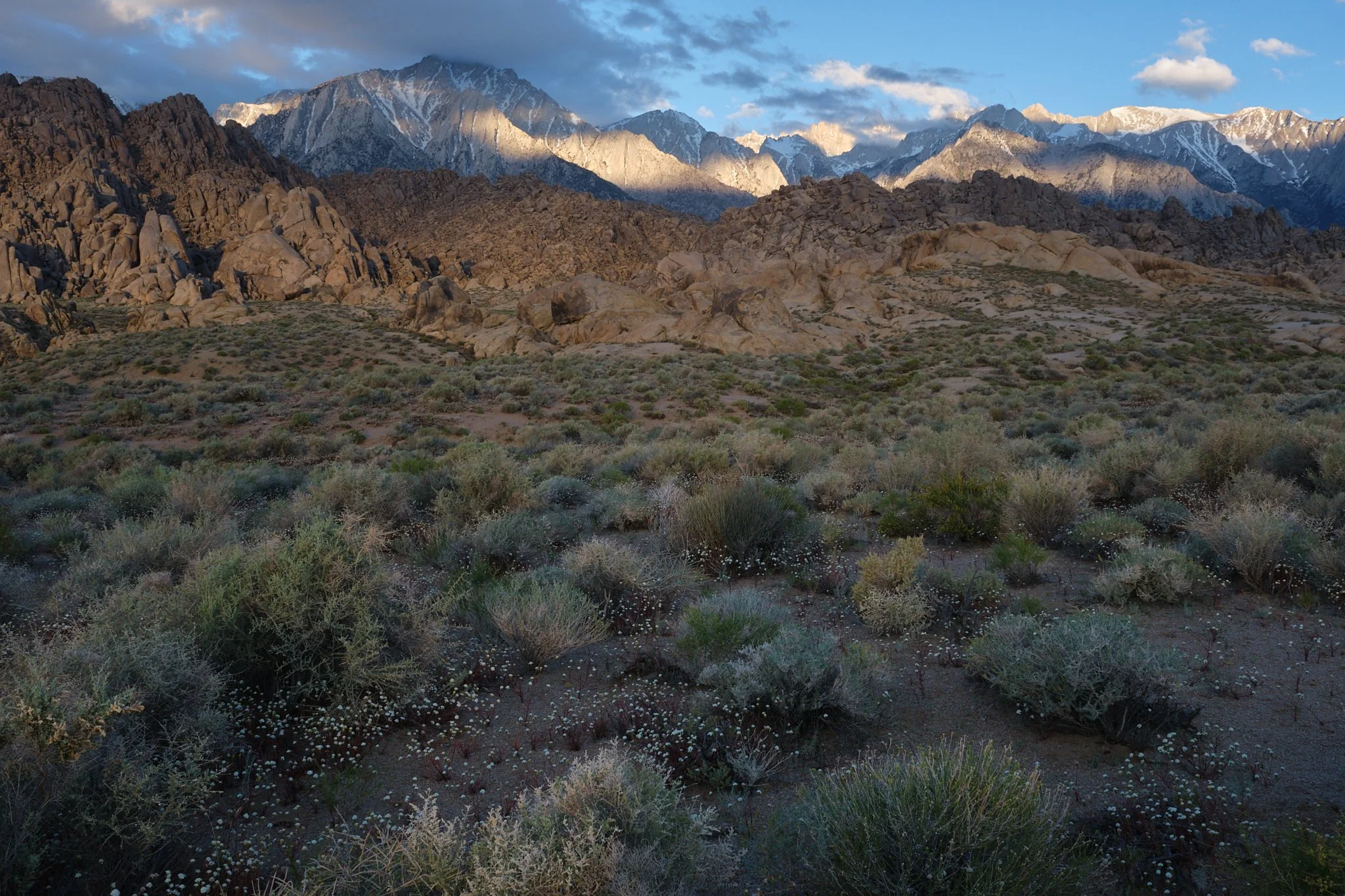 Clapper
Alabama Hills, CA, USA (2024)