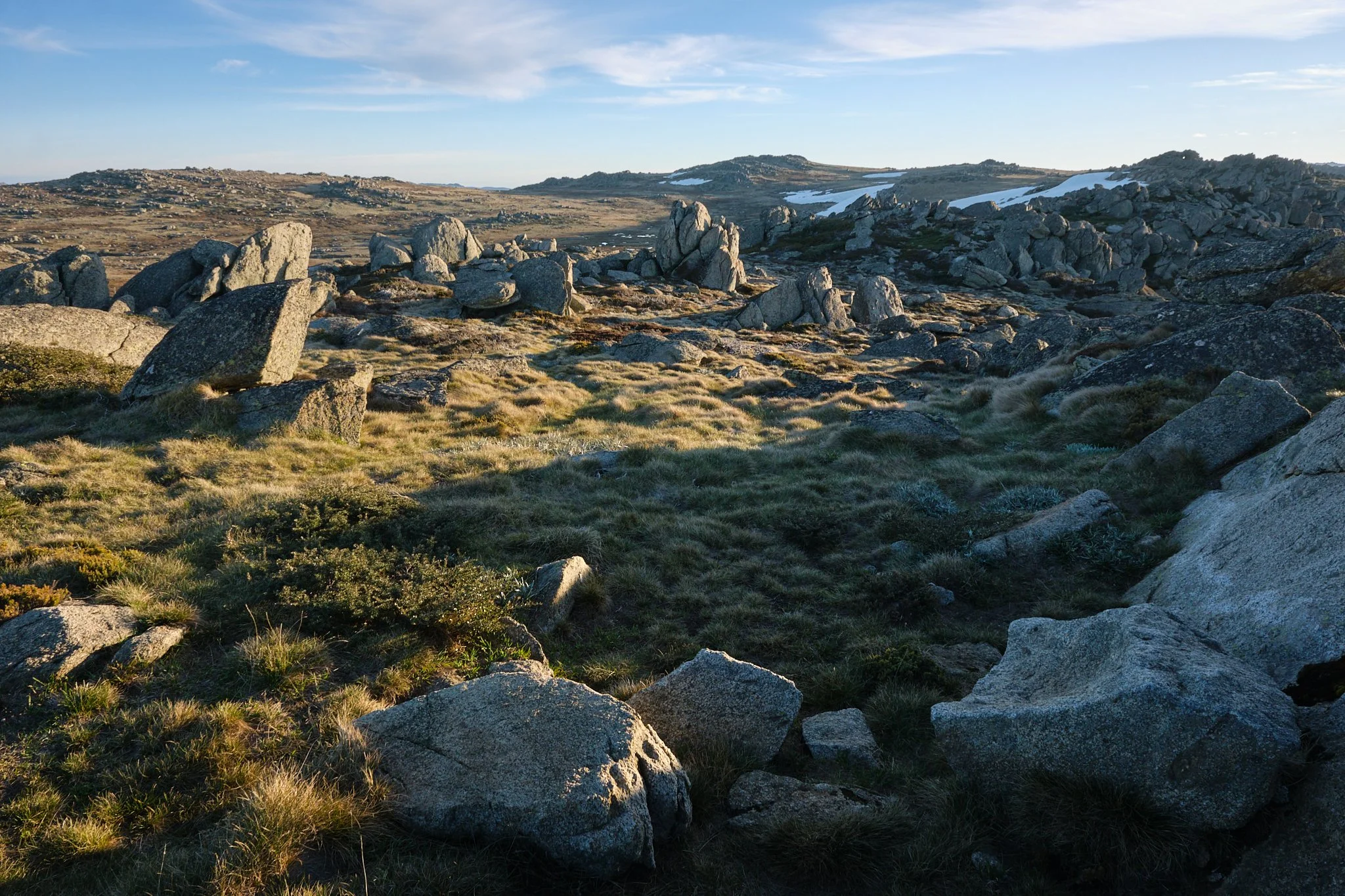 High Country Forms
Kosciuszko National Park, NSW (2025)
