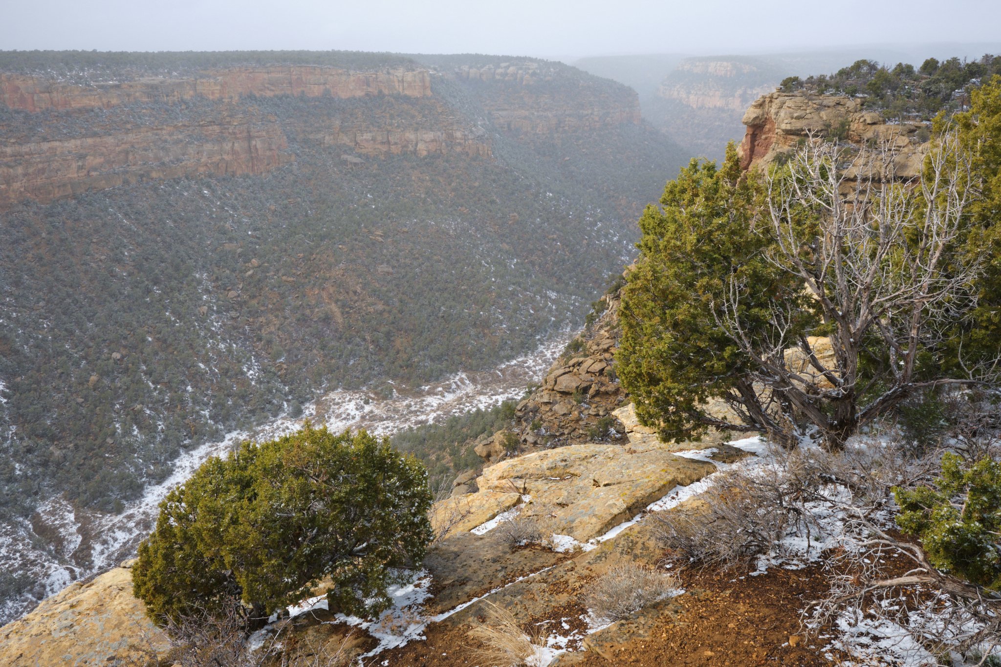 Mesa Verde National Park, CO, USA (2025)