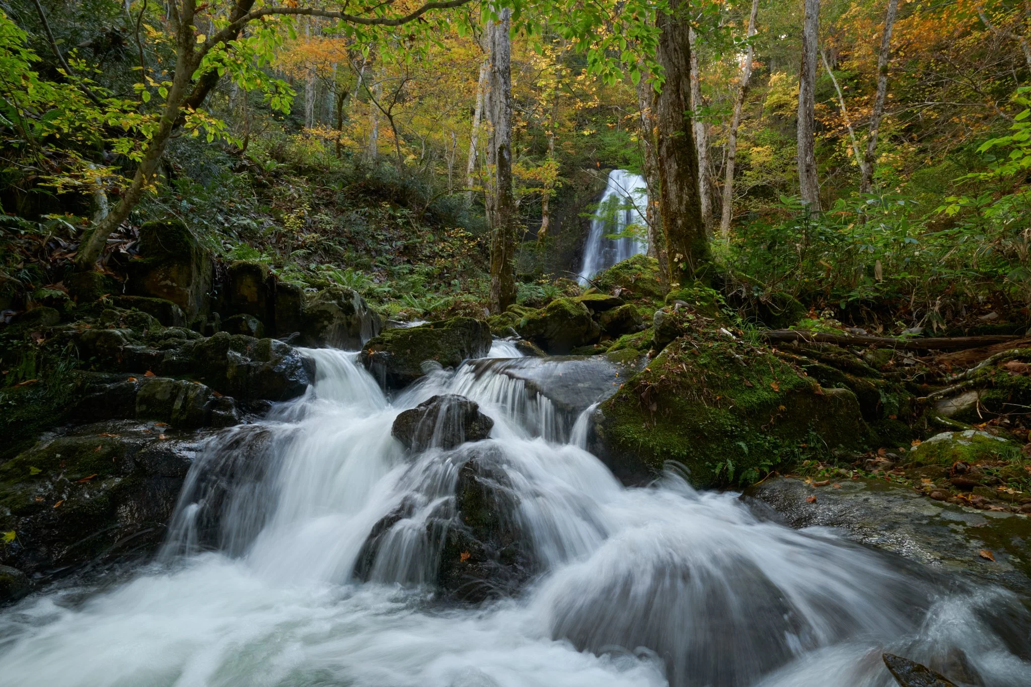 Echo of the Stream
Gifu, Japan (2024)