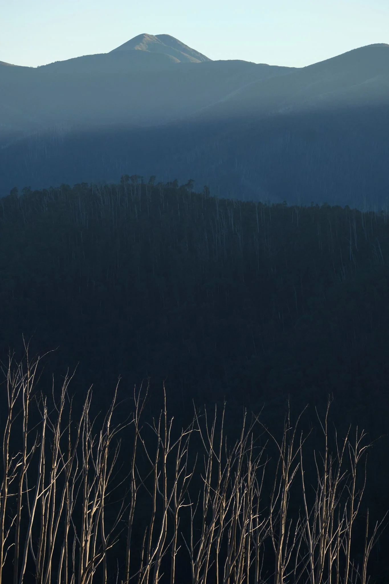 Matchstick Mountain
Alpine National Park, VIC (2024)
