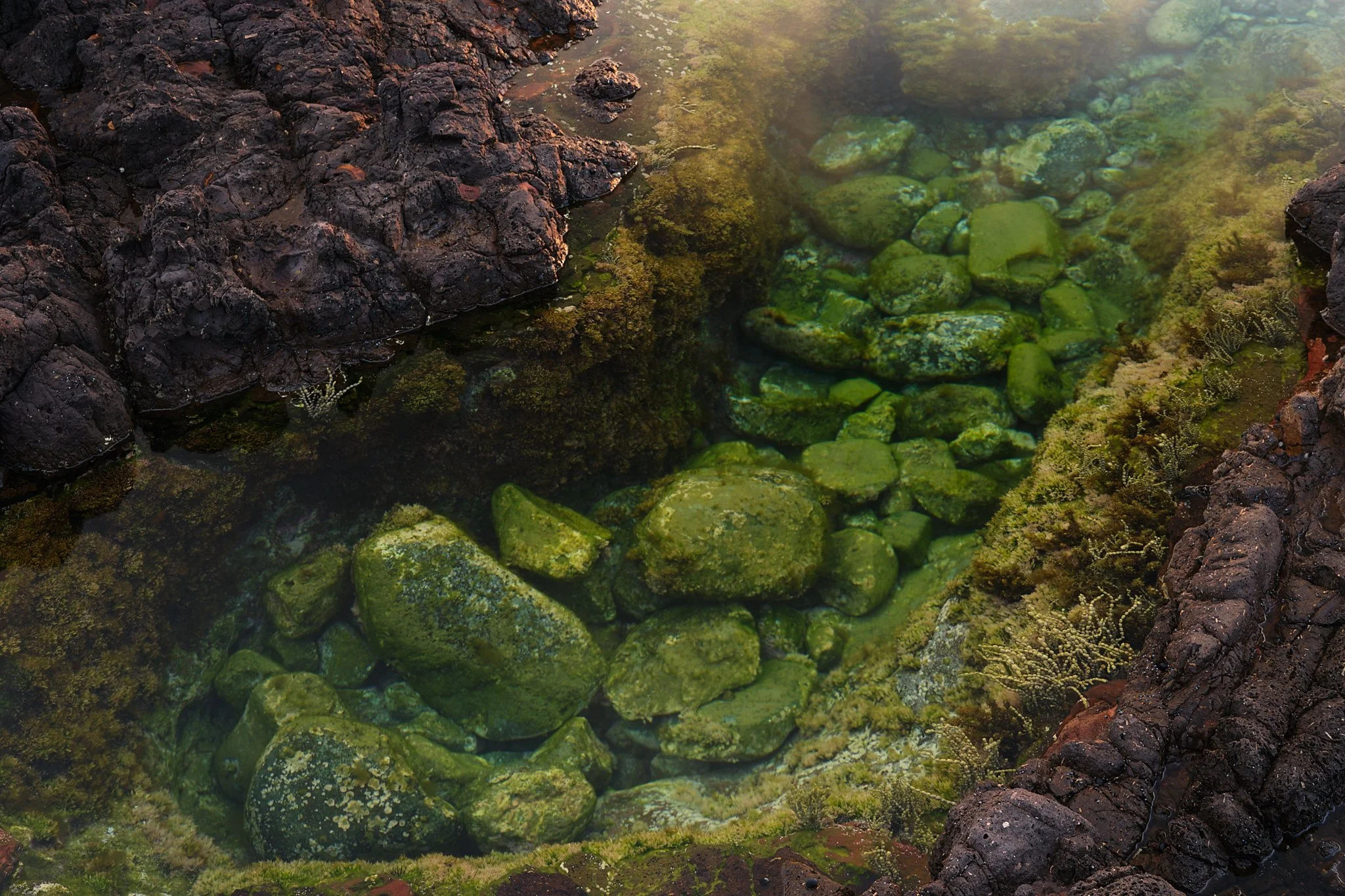 Quiet Chromatics
Shell Cove, NSW (2025)