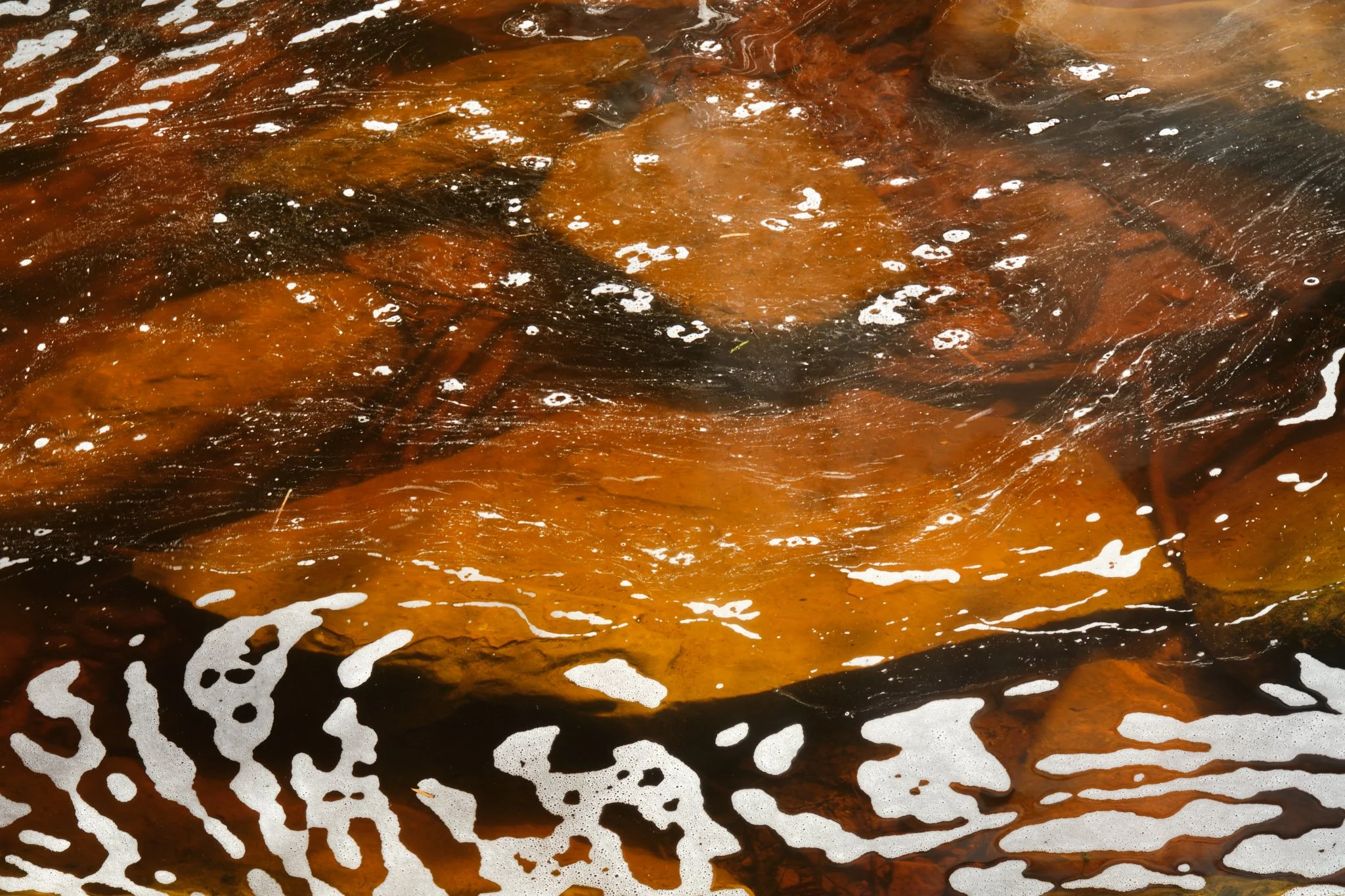 Budderoo National Park, NSW (2025)