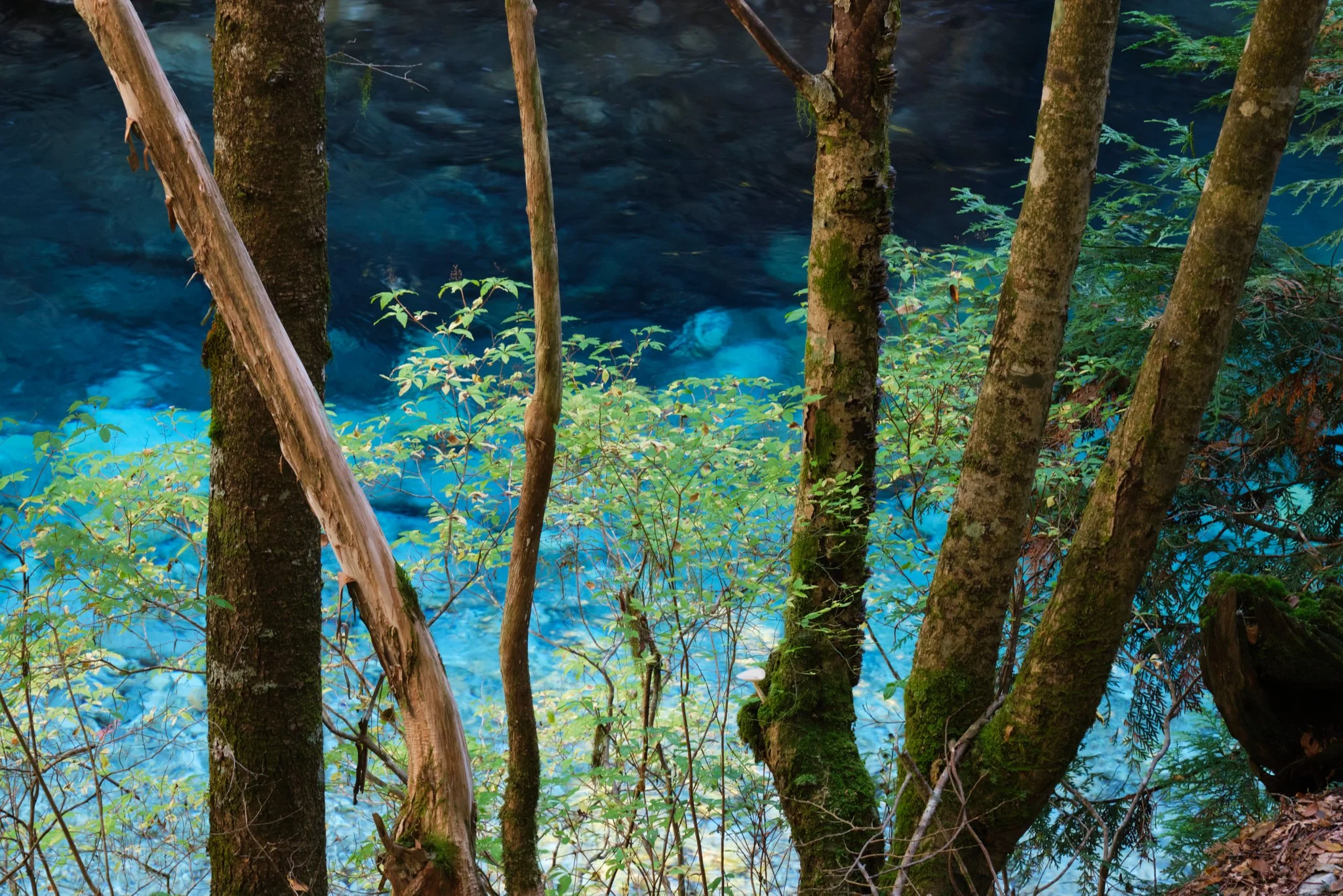 Azure Bridge
Nagano, Japan  (2024)