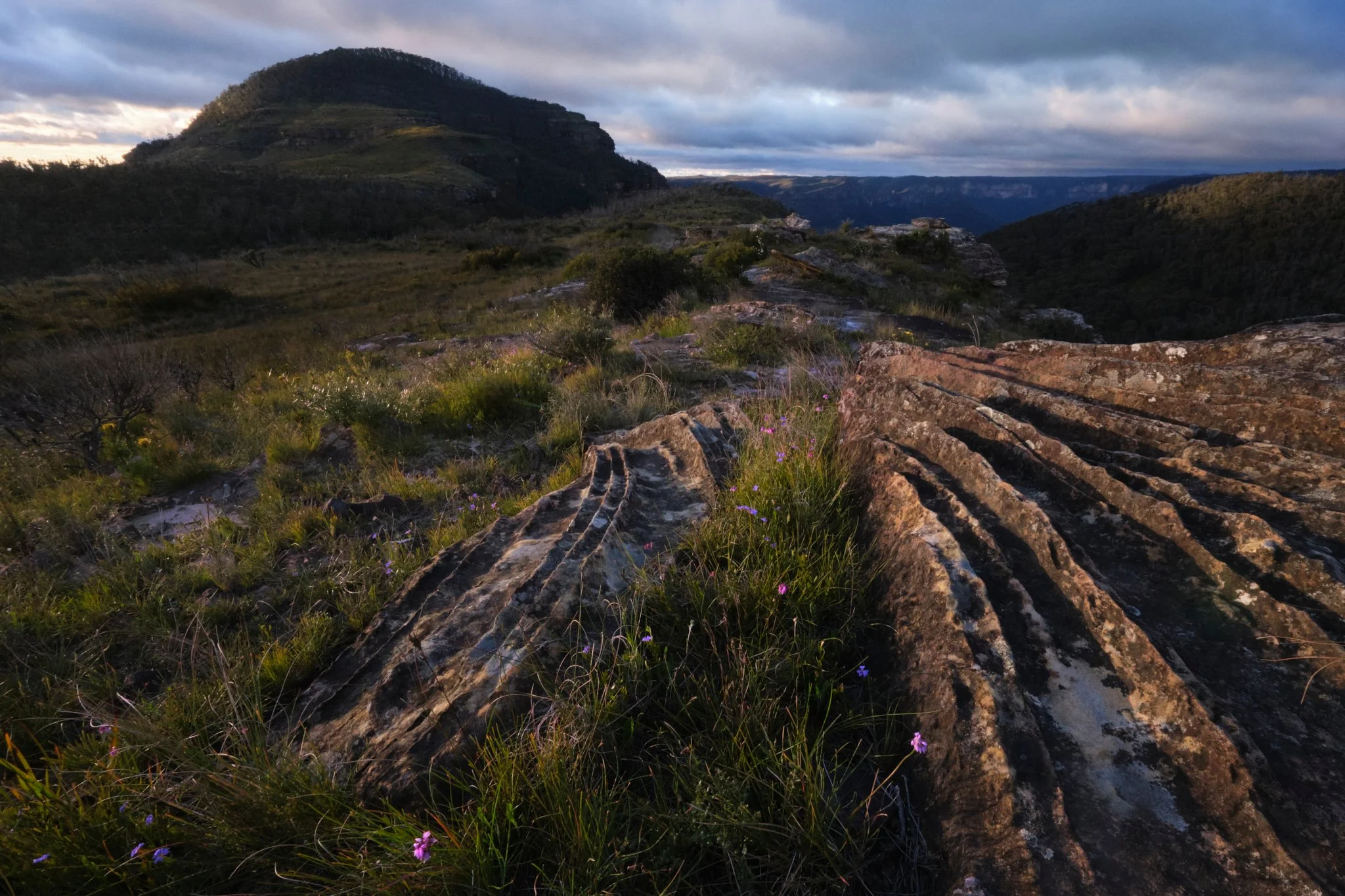 Bank Morning
Blue Mountains National Park, NSW (2021)