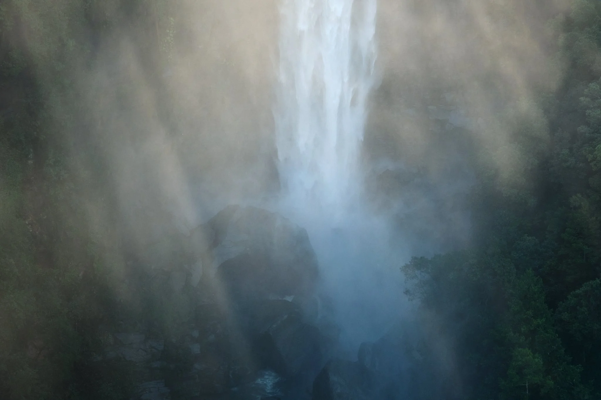 Fogbound
Morton National Park, NSW (2025)